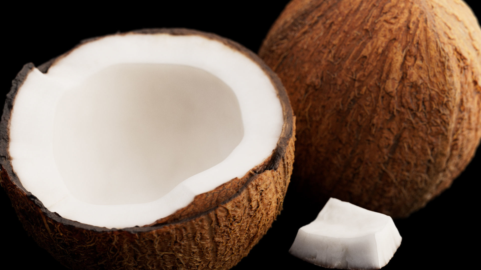Coconuts 3D model_6