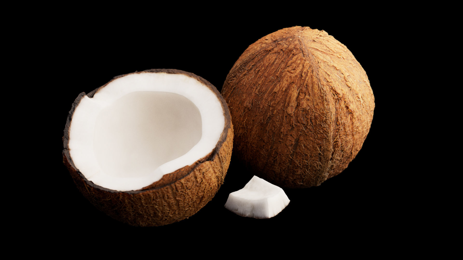 Coconuts 3D model_5