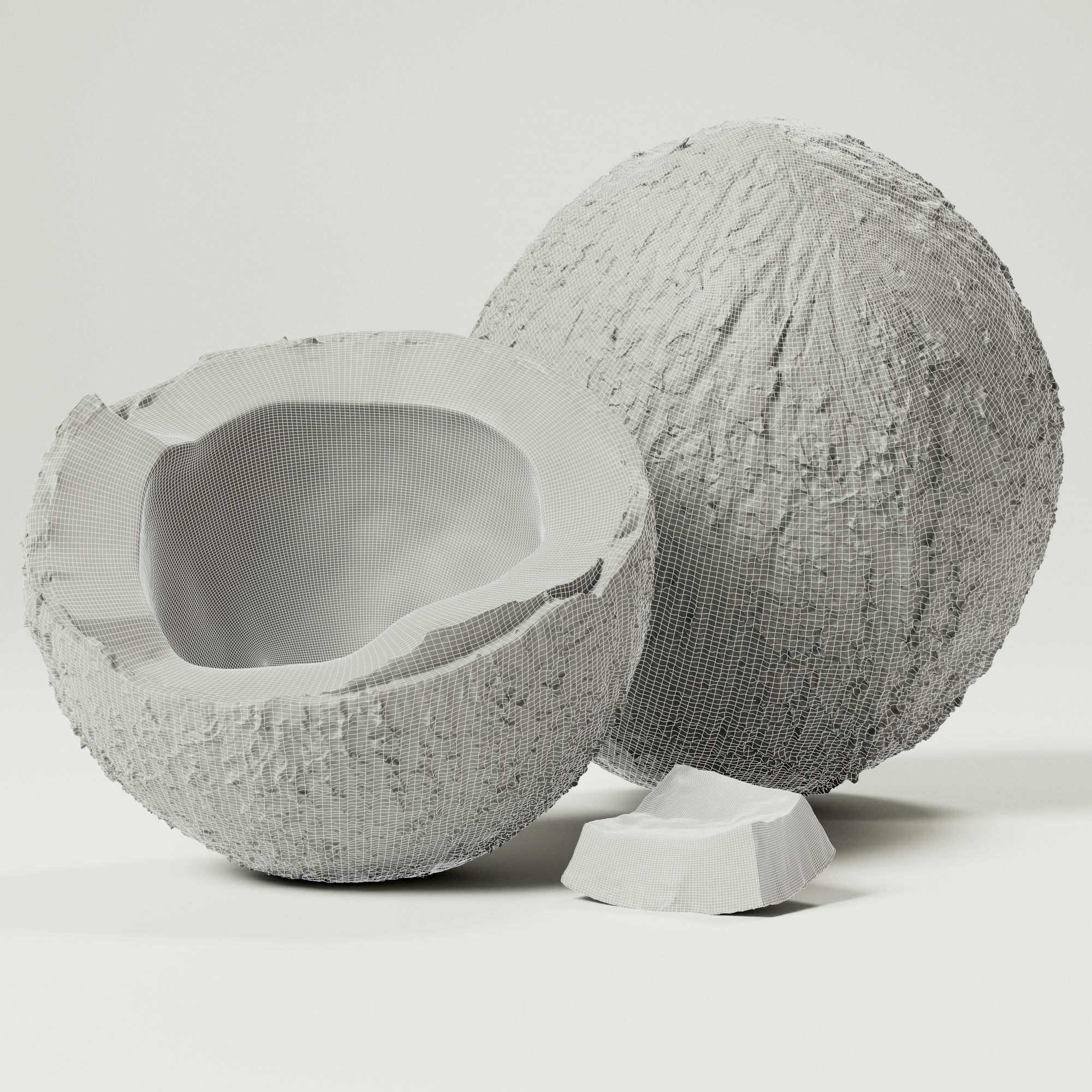 Coconuts 3D model_3