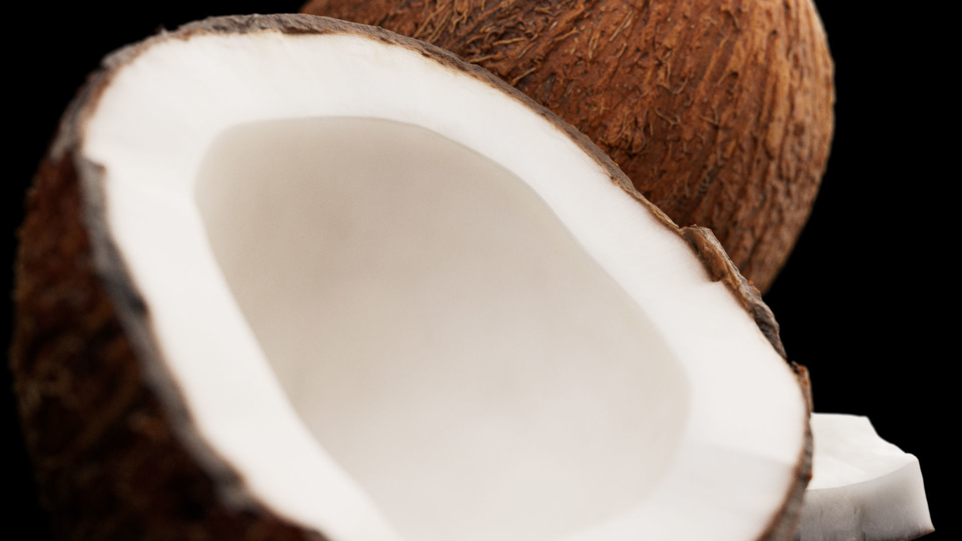 Coconuts 3D model_7