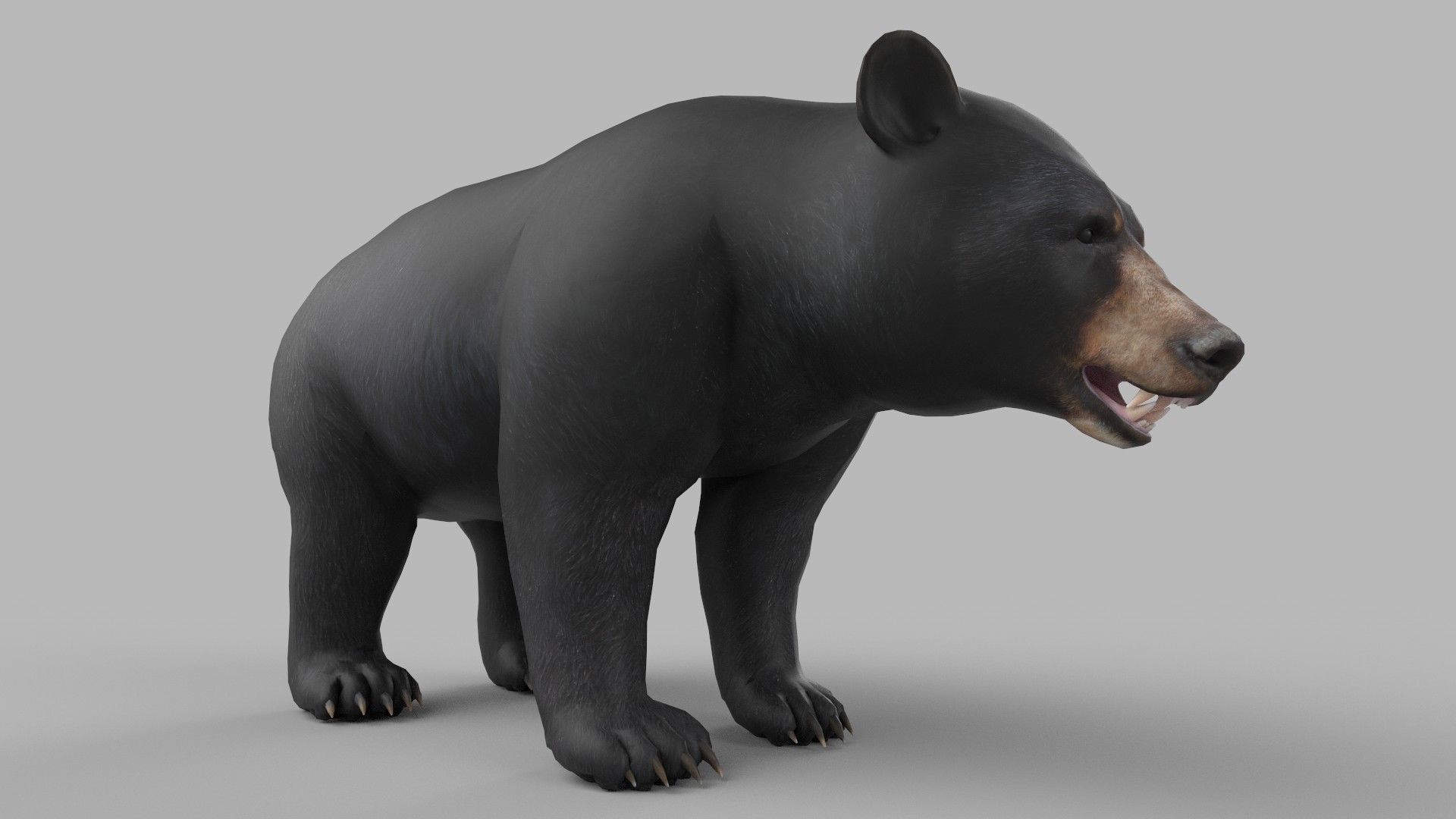 wild bear Low-poly 3D model_3