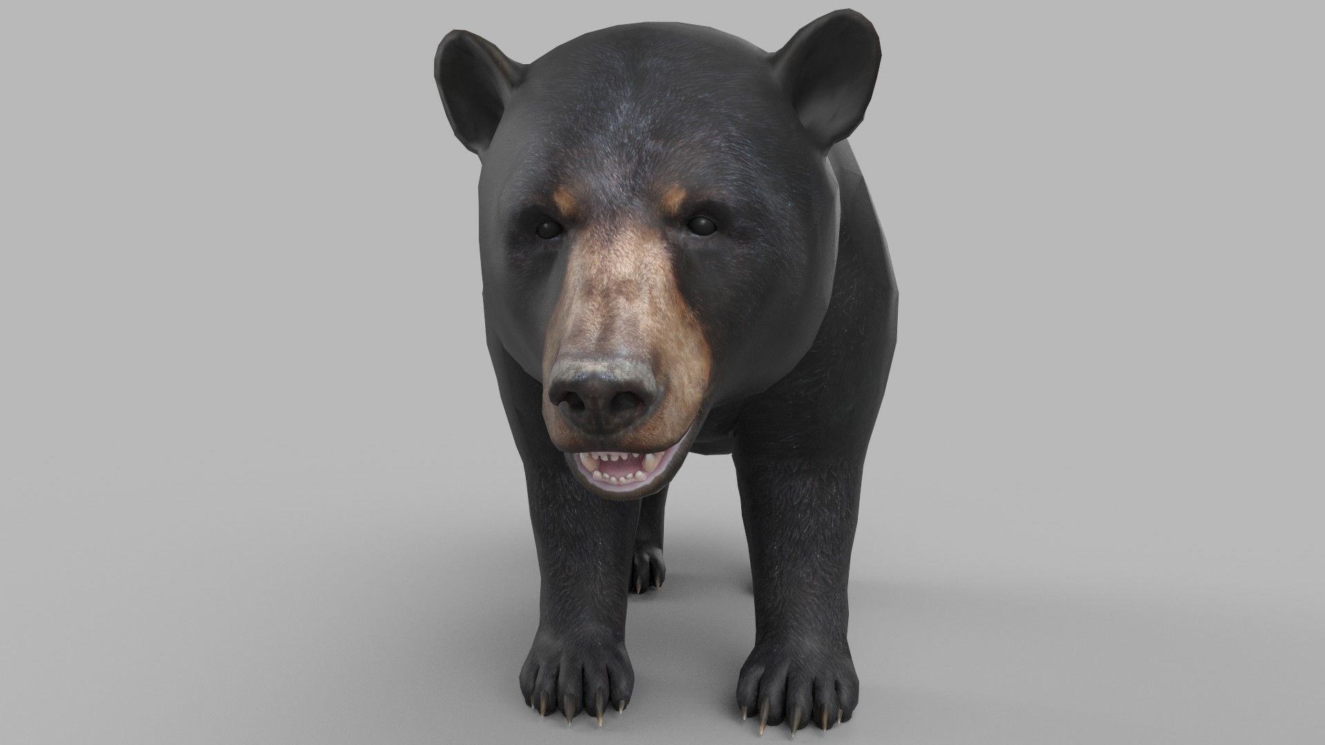 wild bear Low-poly 3D model_2