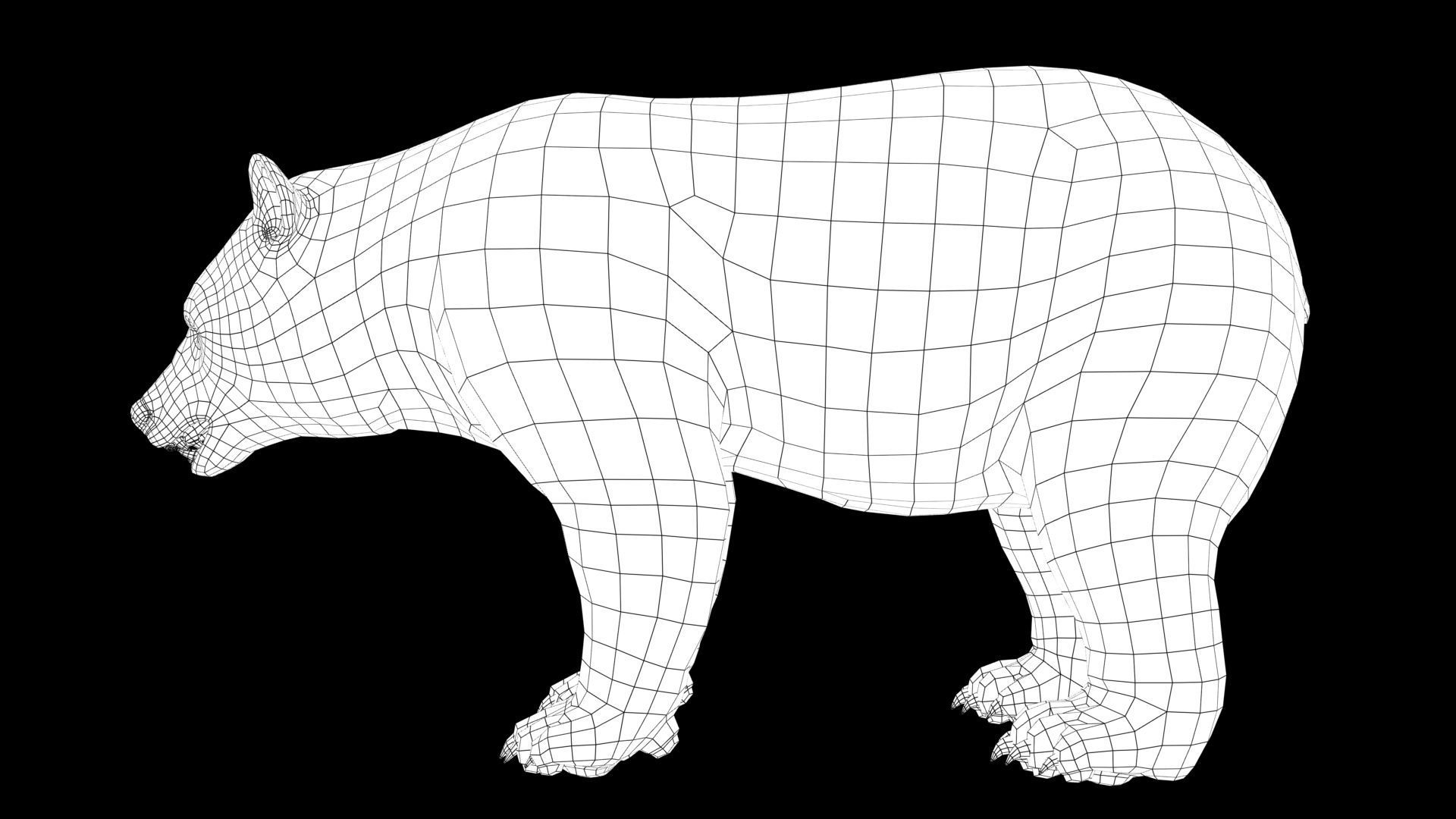 wild bear Low-poly 3D model_7