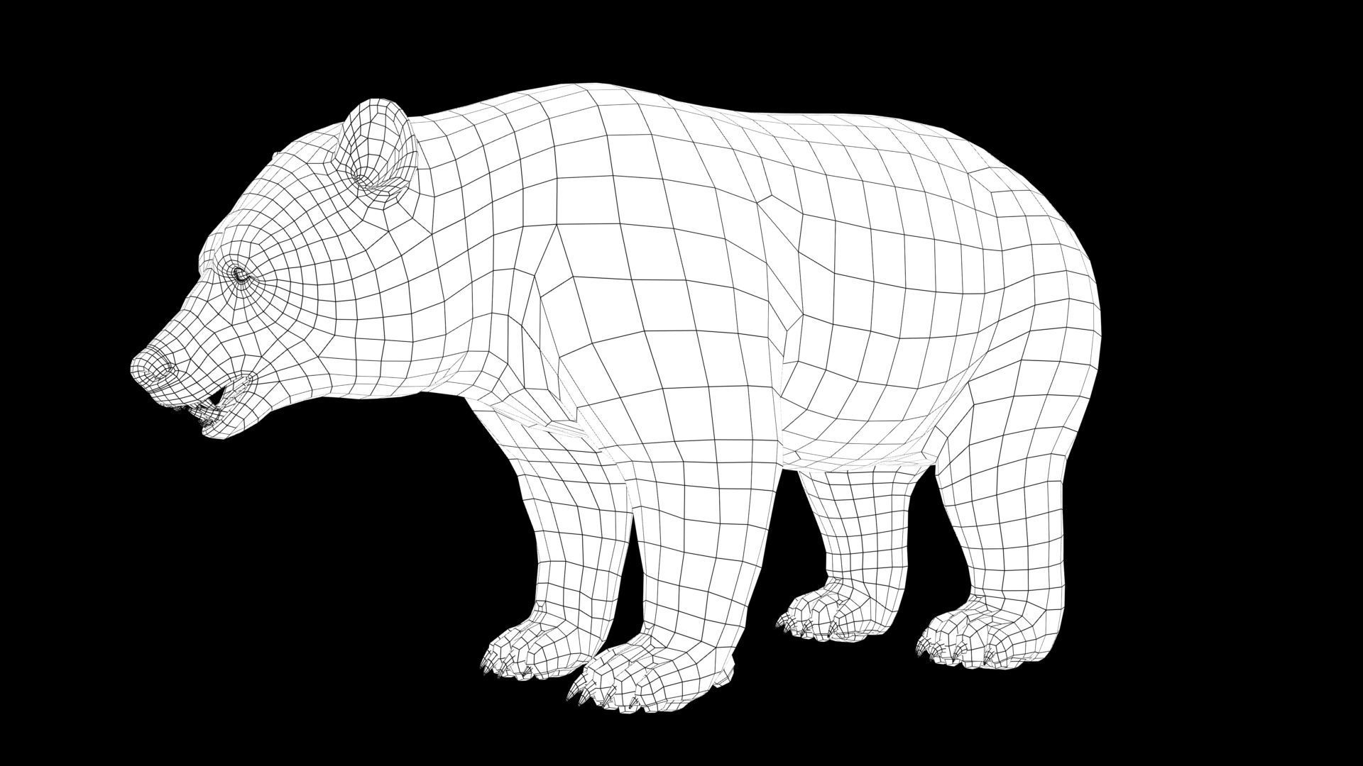 wild bear Low-poly 3D model_6