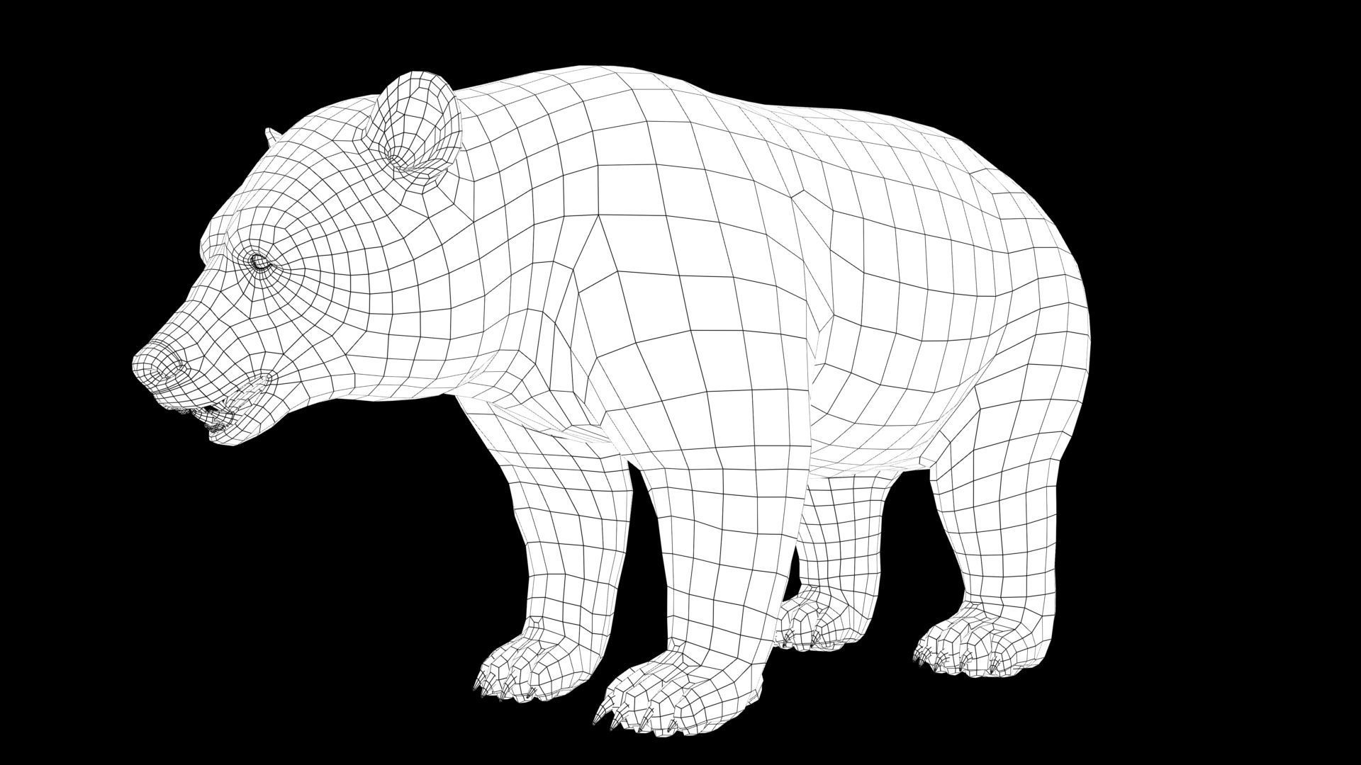 wild bear Low-poly 3D model_5