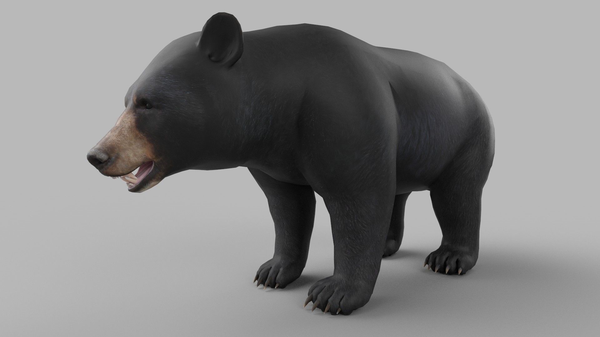 wild bear Low-poly 3D model_1