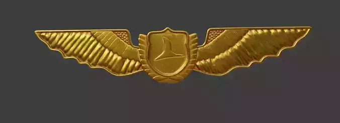Turkish Airlines Brove for Jacket Low-poly 3D model
