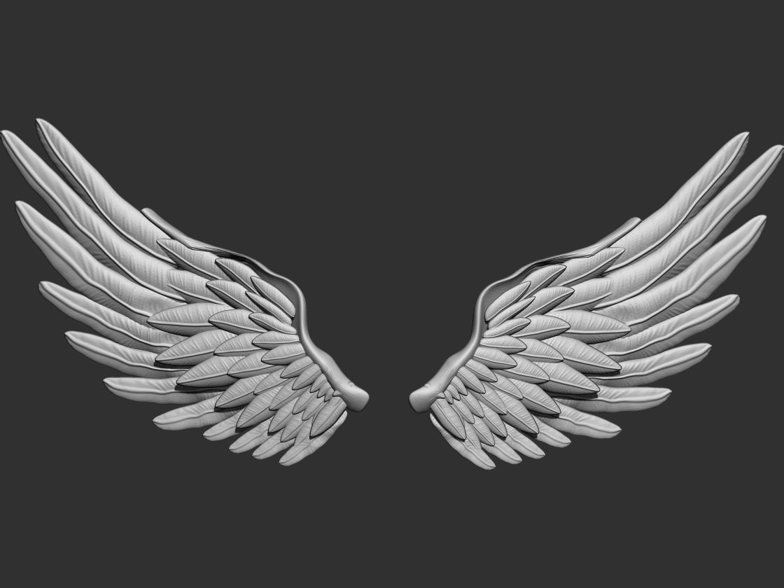 Angel Wings 3D model 3D printable | CGTrader