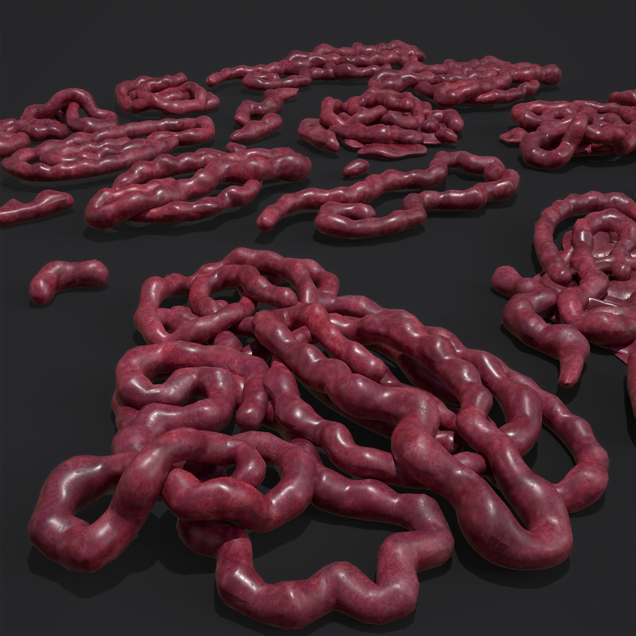 Intestines Piles Low-poly 3D model_23