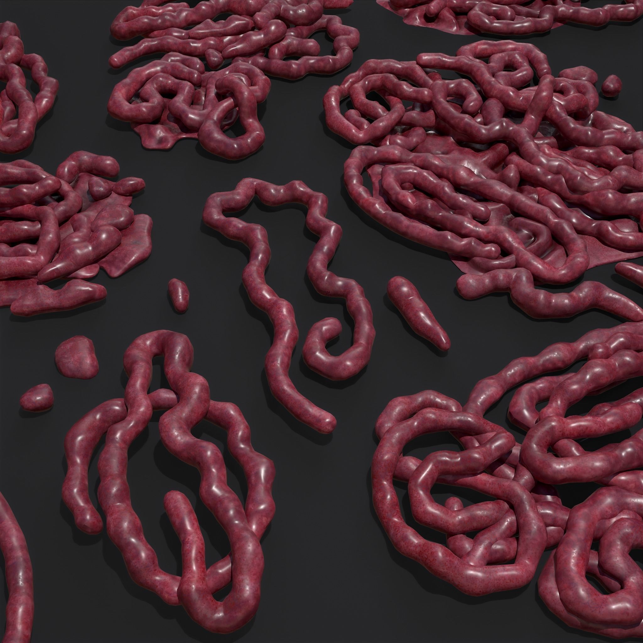 Intestines Piles Low-poly 3D model_3