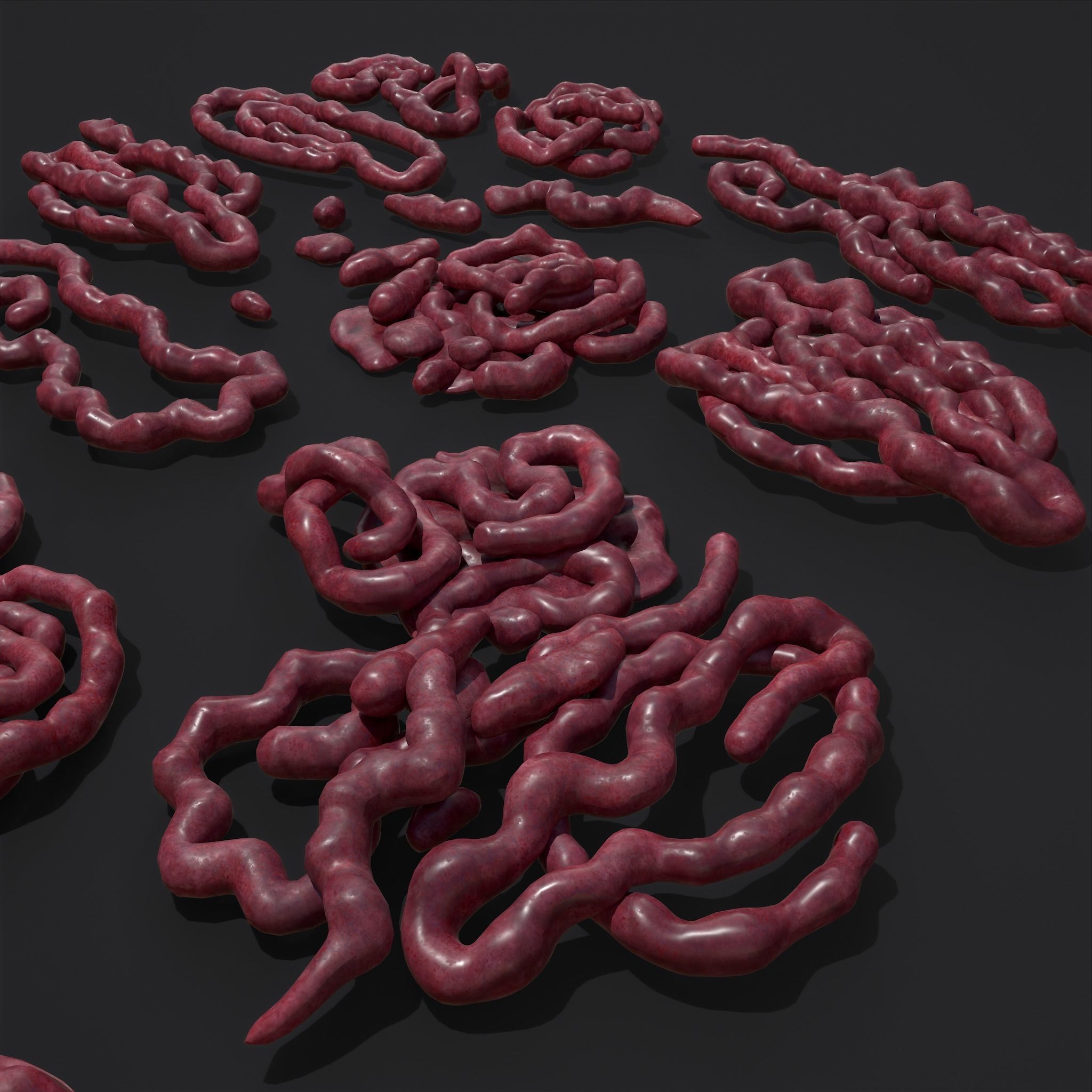 Intestines Piles Low-poly 3D model_25