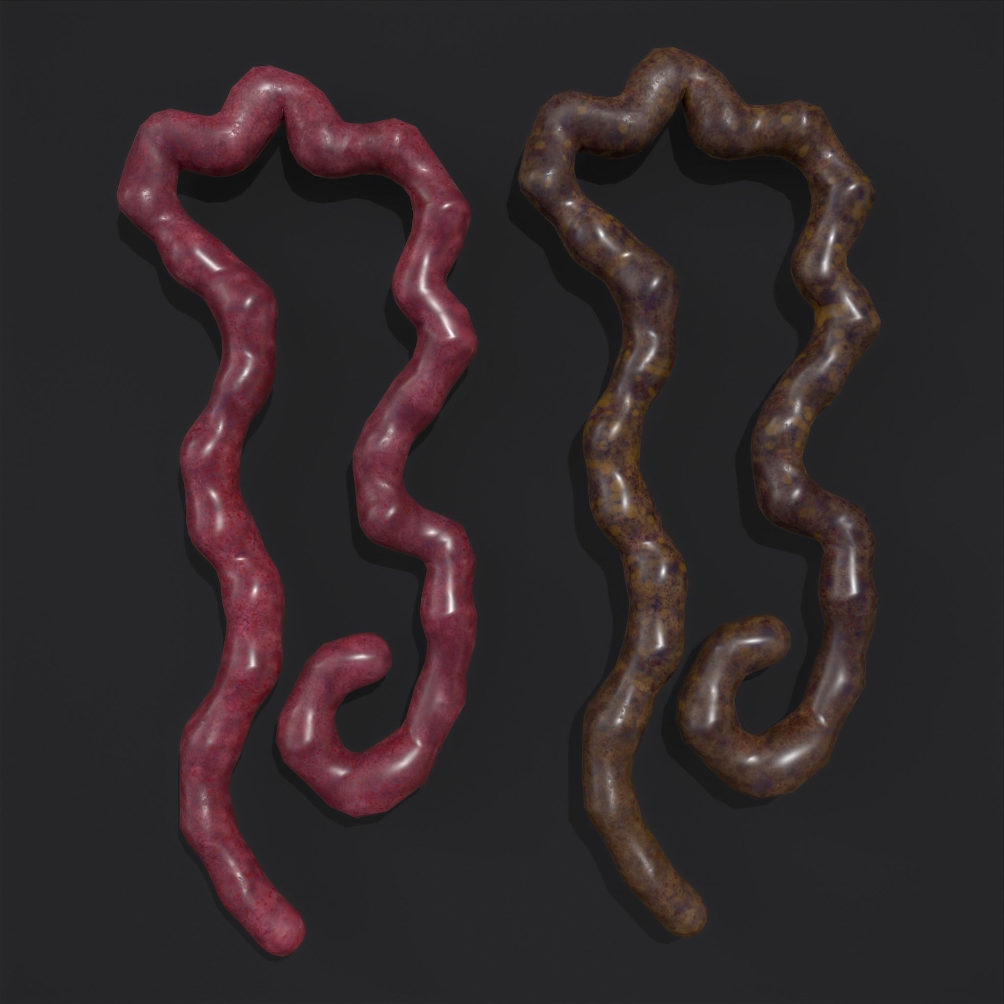 Intestines Piles Low-poly 3D model_39