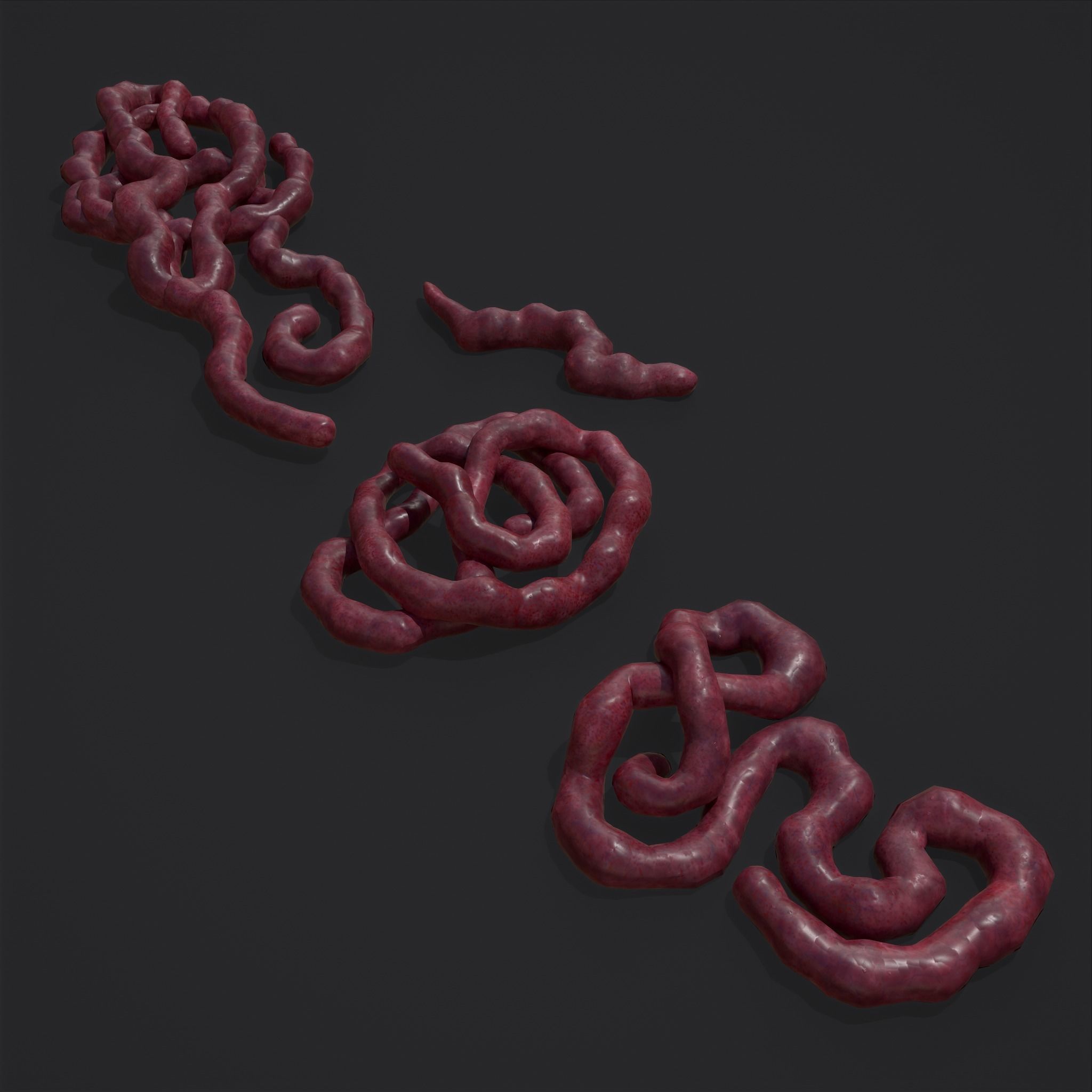 Intestines Piles Low-poly 3D model_13