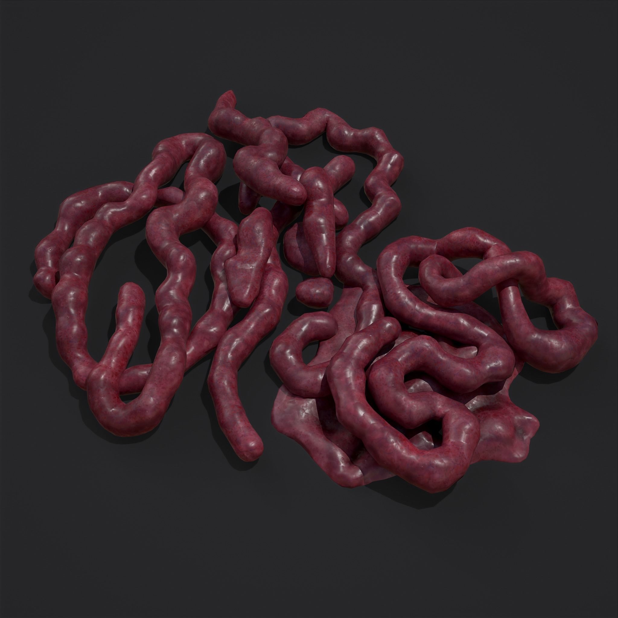 Intestines Piles Low-poly 3D model_9