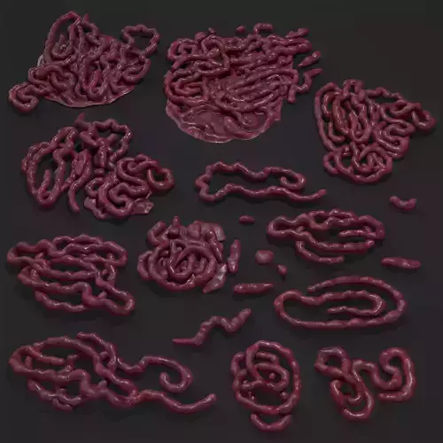 Intestines Piles Low-poly 3D model