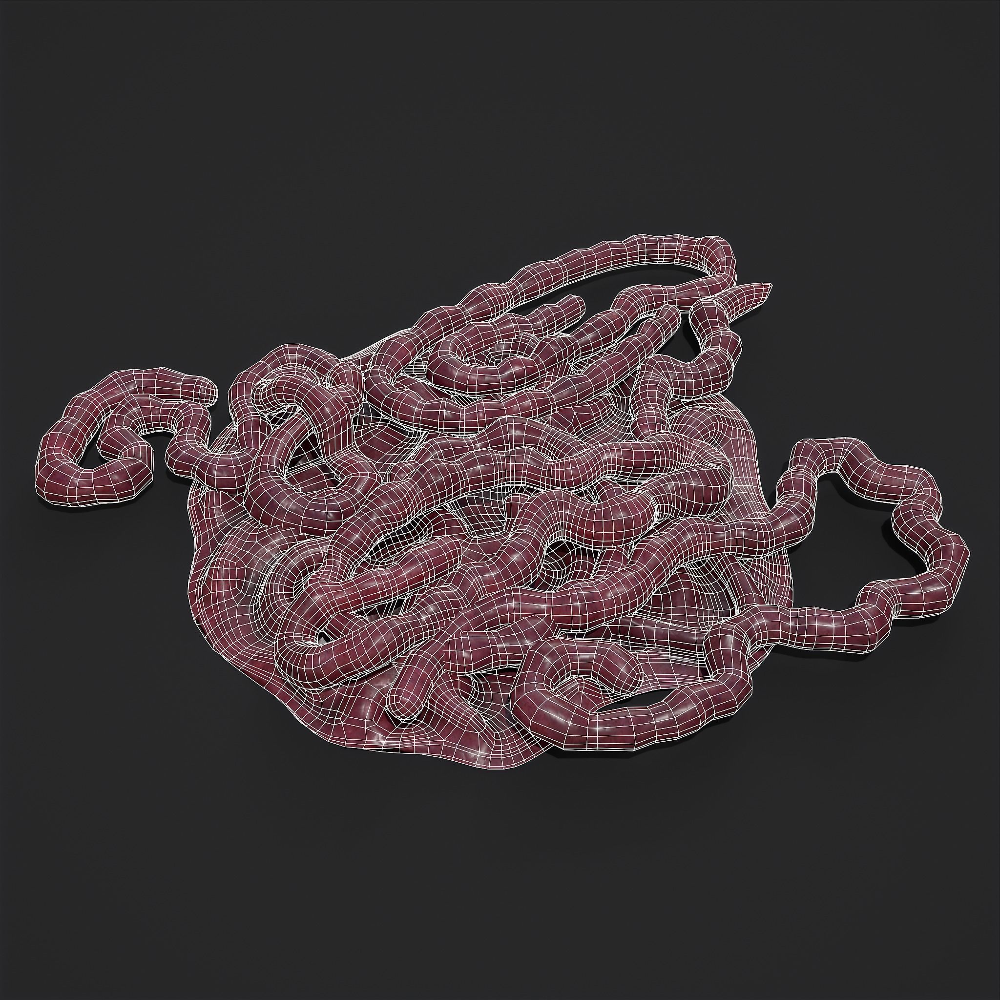 Intestines Piles Low-poly 3D model_20