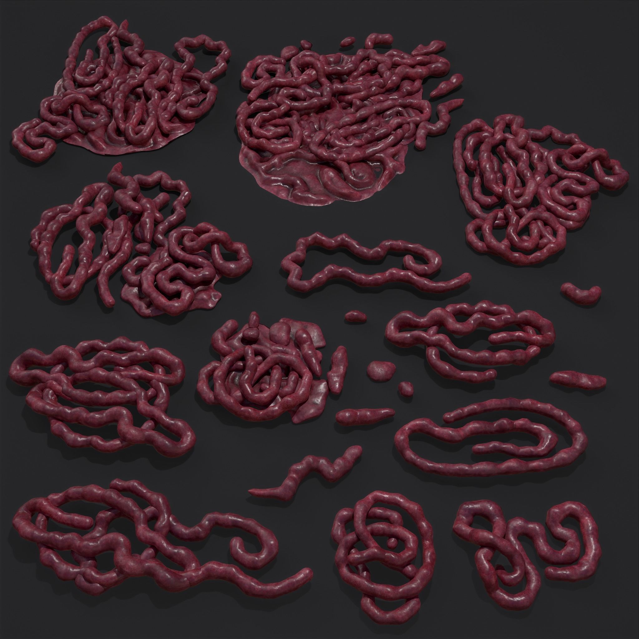 Intestines Piles Low-poly 3D model_43