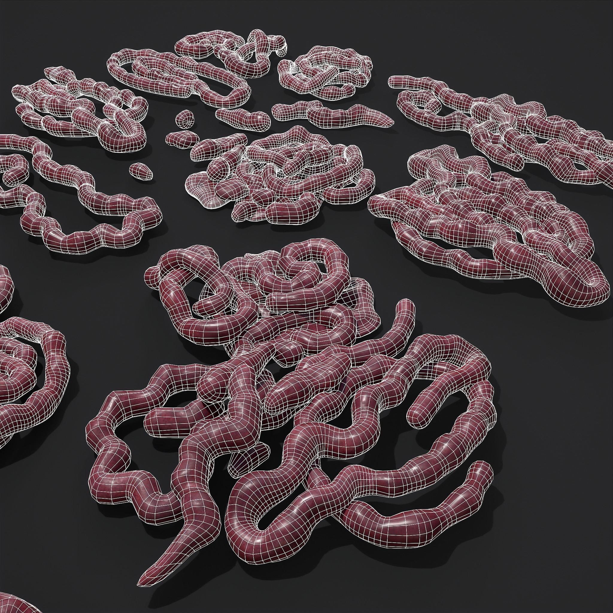 Intestines Piles Low-poly 3D model_27
