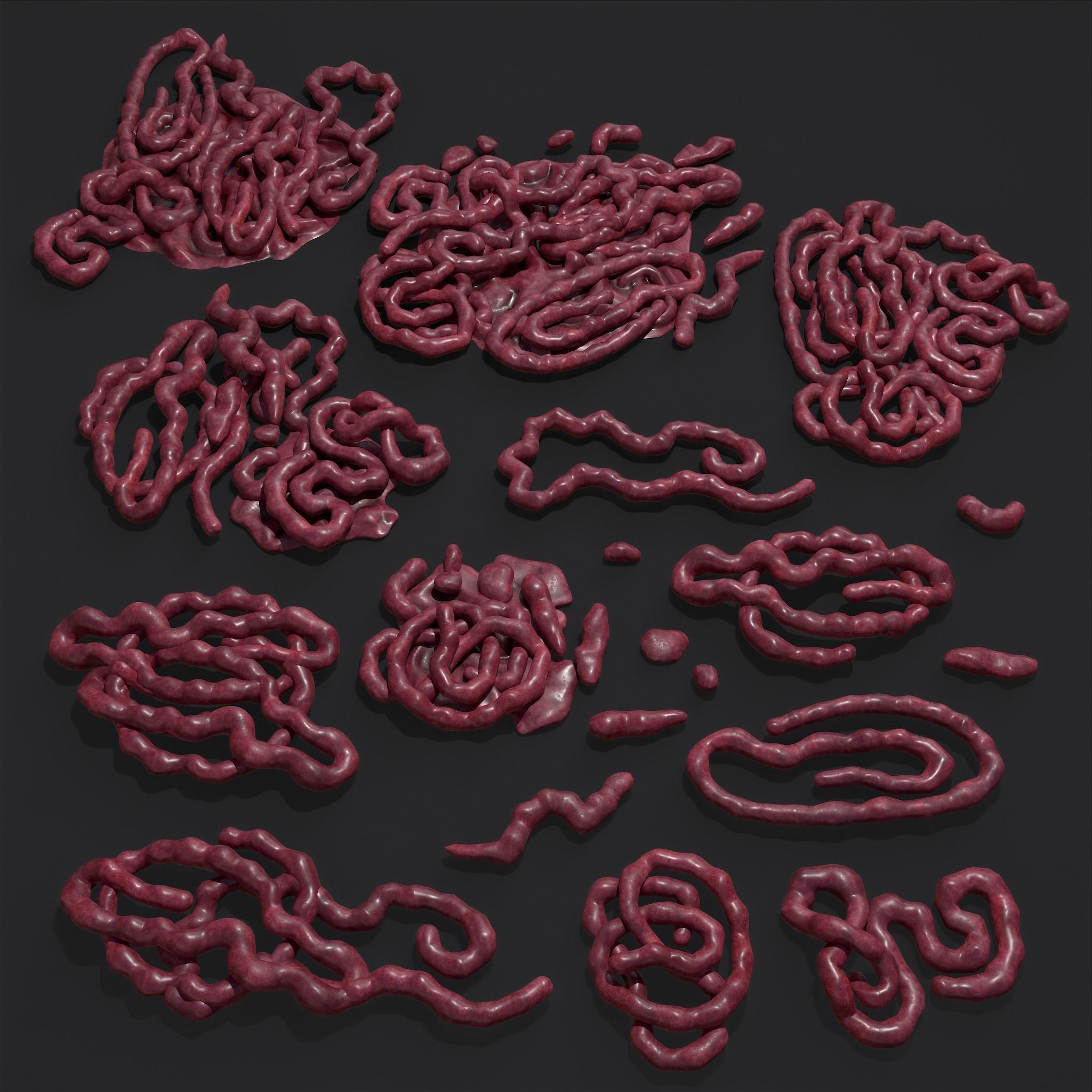 Intestines Piles Low-poly 3D model_32
