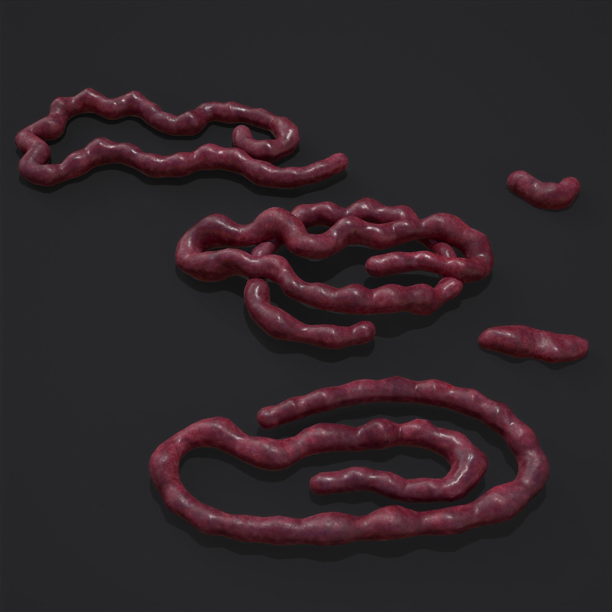 Intestines Piles Low-poly 3D model_11
