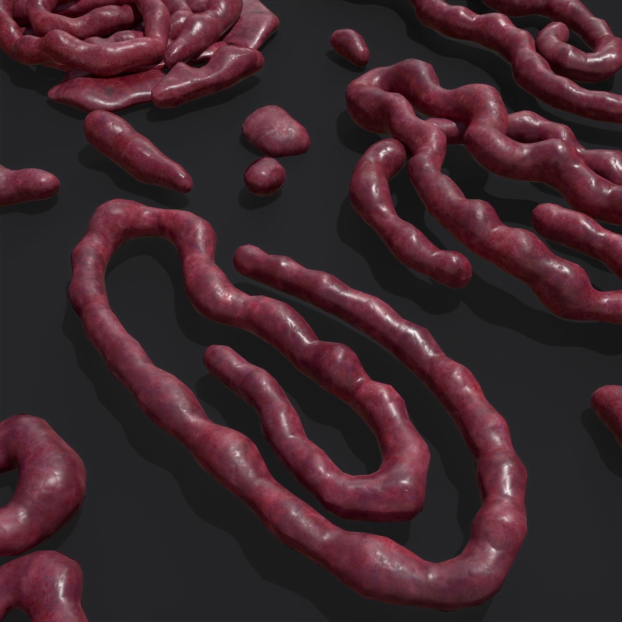 Intestines Piles Low-poly 3D model_21