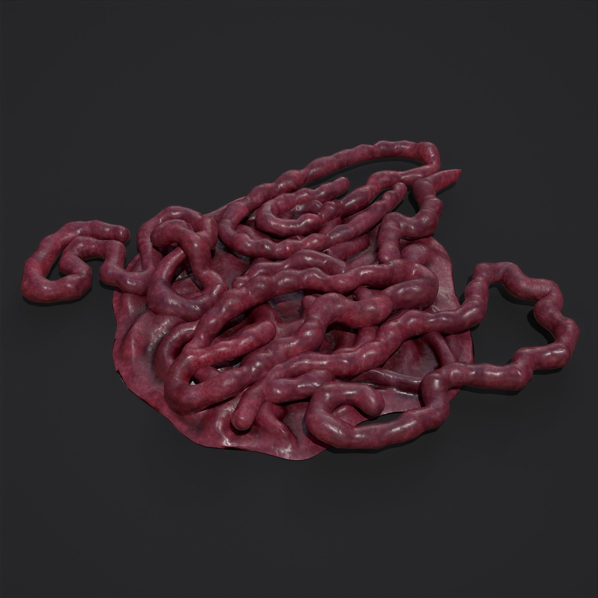 Intestines Piles Low-poly 3D model_19