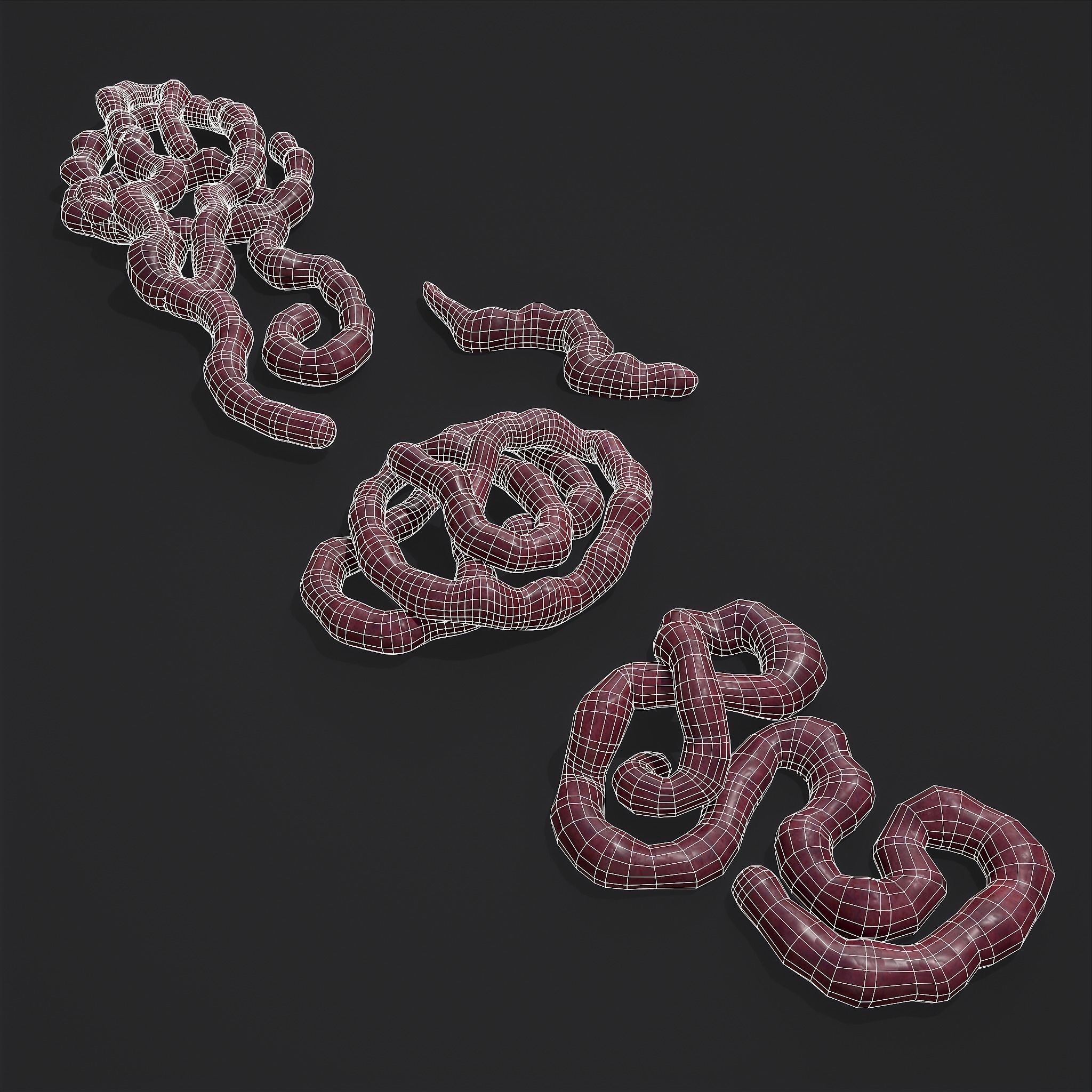 Intestines Piles Low-poly 3D model_14