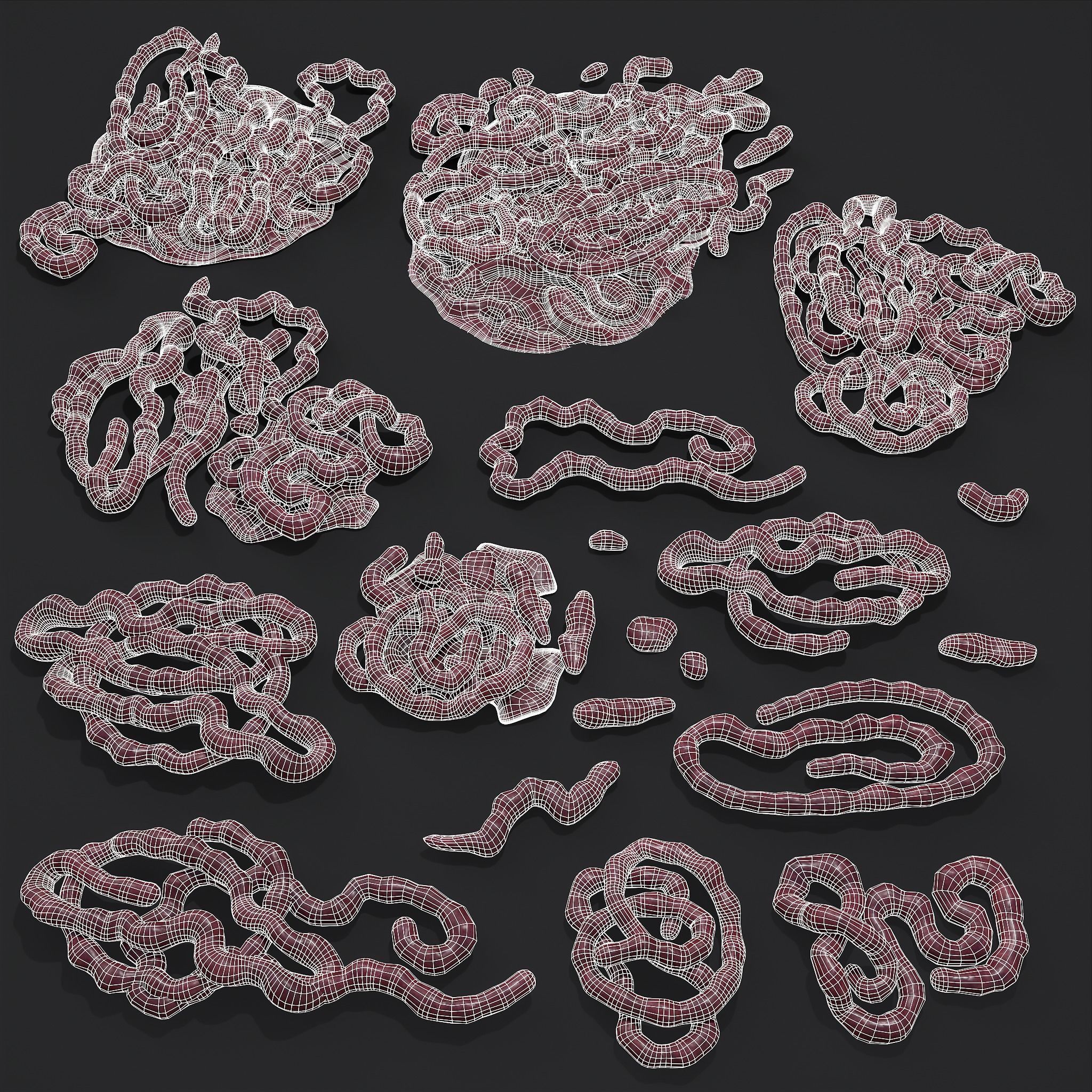 Intestines Piles Low-poly 3D model_44
