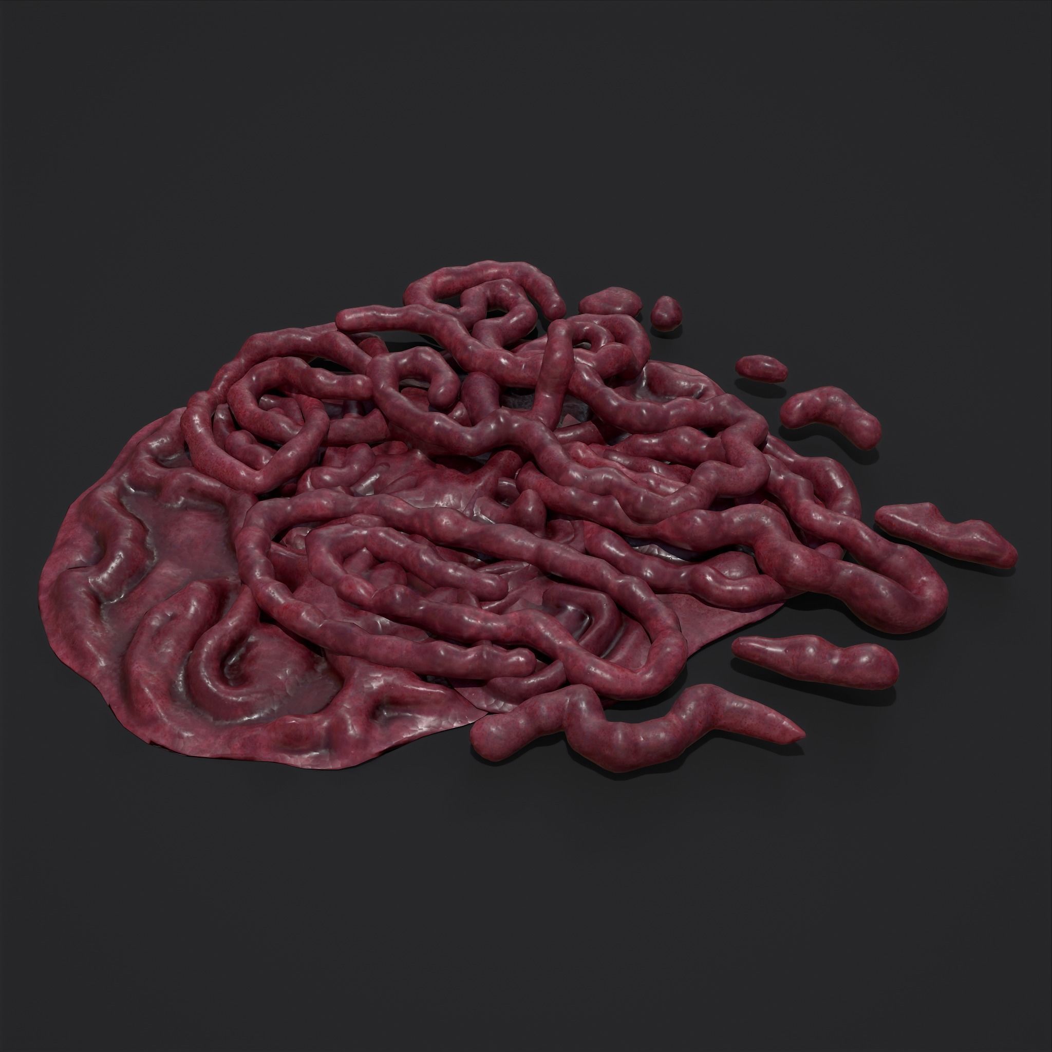 Intestines Piles Low-poly 3D model_15