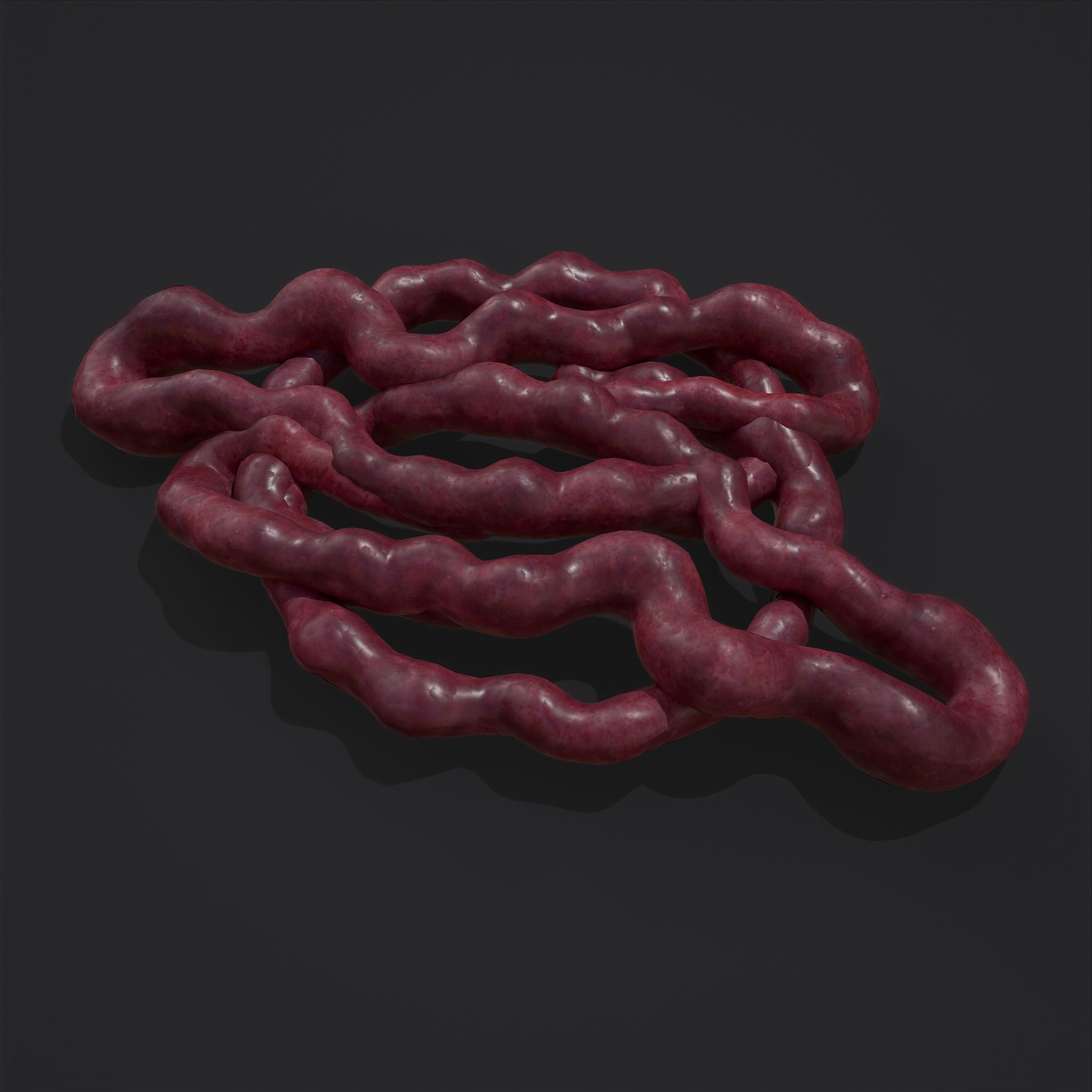 Intestines Piles Low-poly 3D model_5