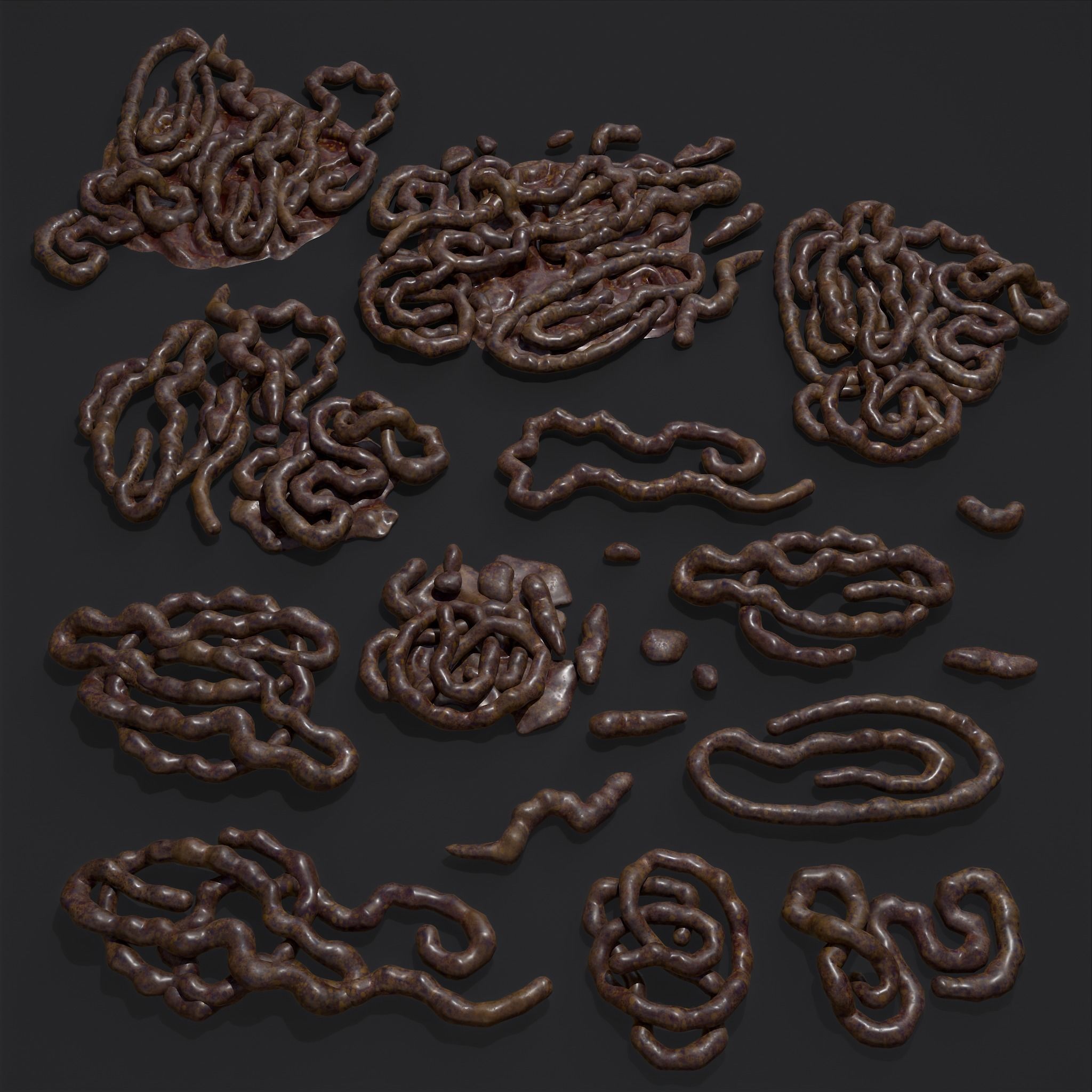 Intestines Piles Low-poly 3D model_33