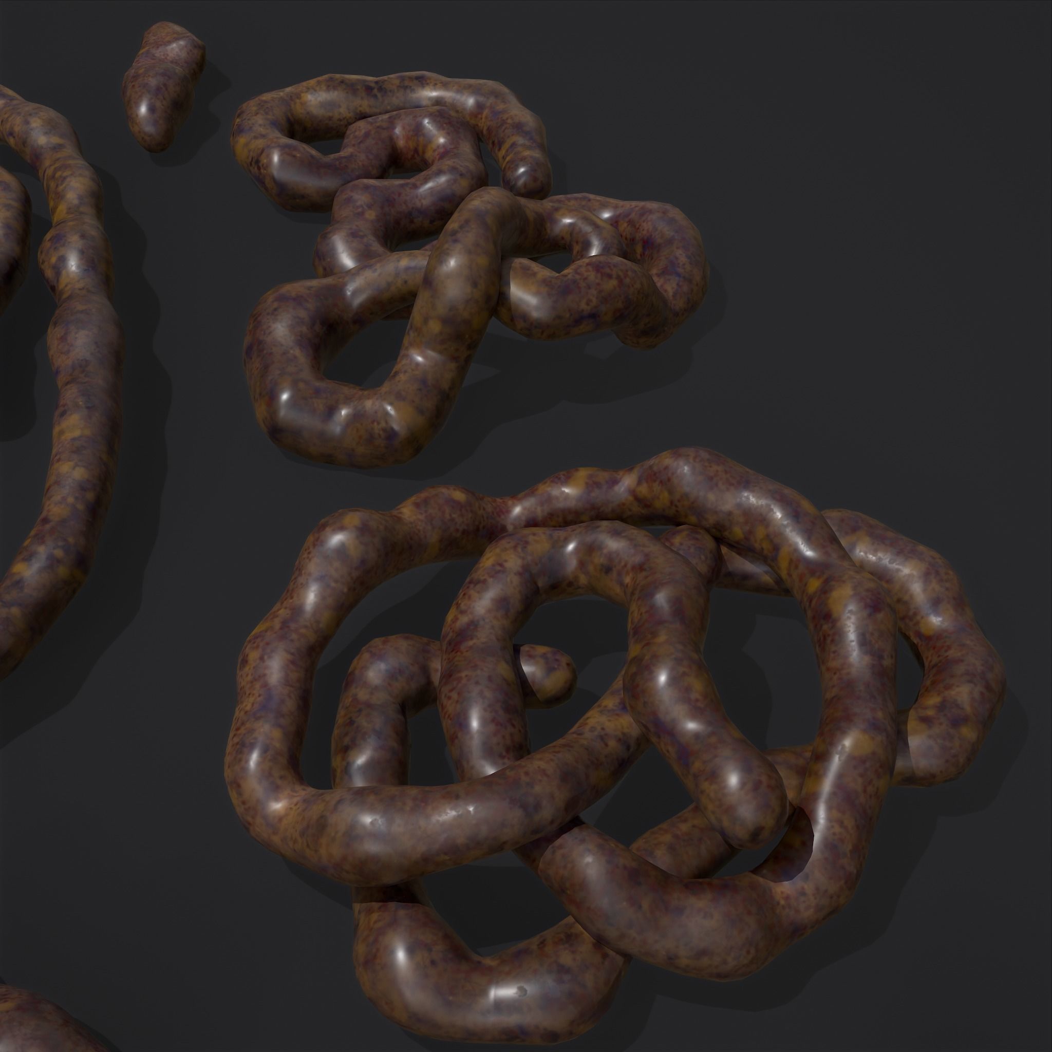 Intestines Piles Low-poly 3D model_36