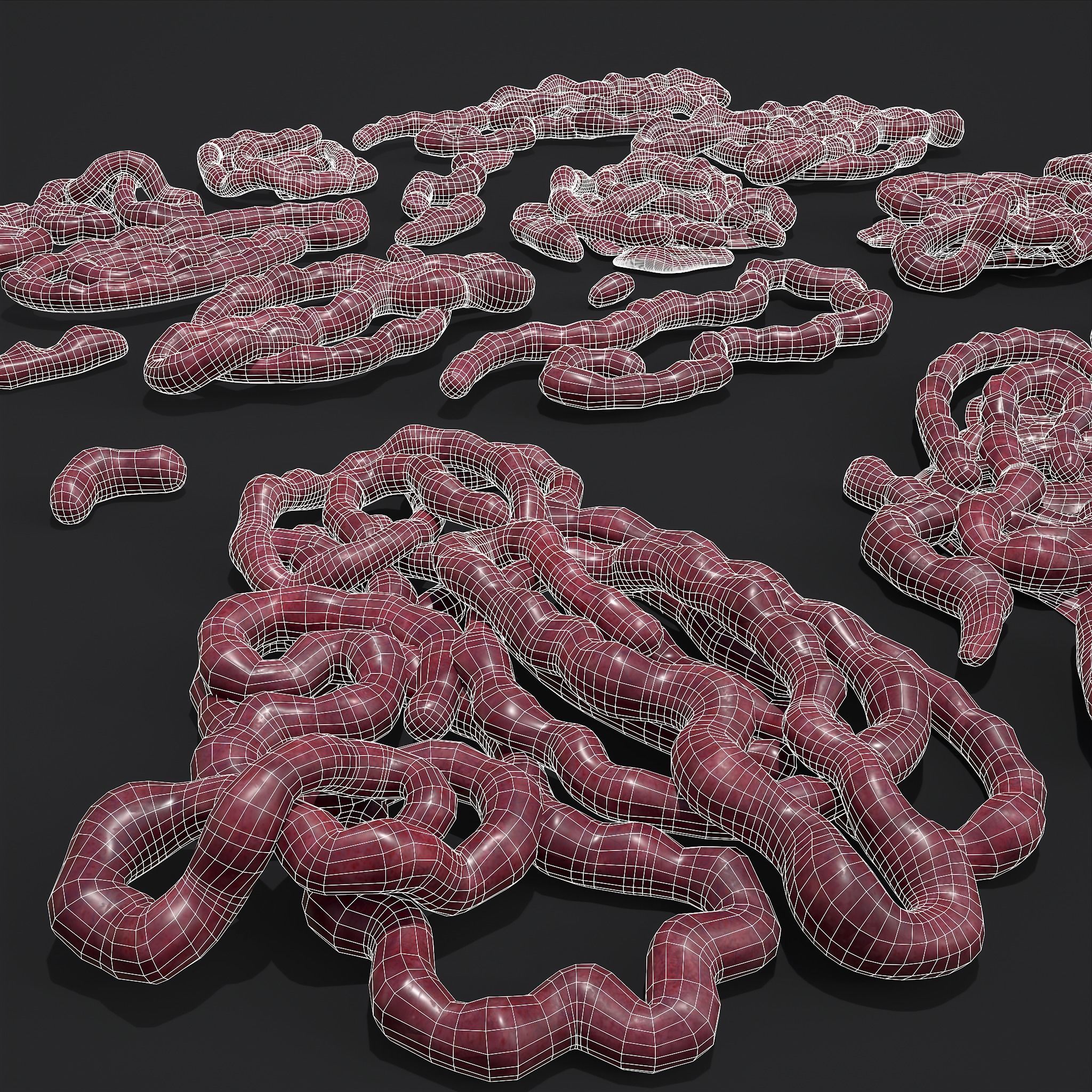 Intestines Piles Low-poly 3D model_24