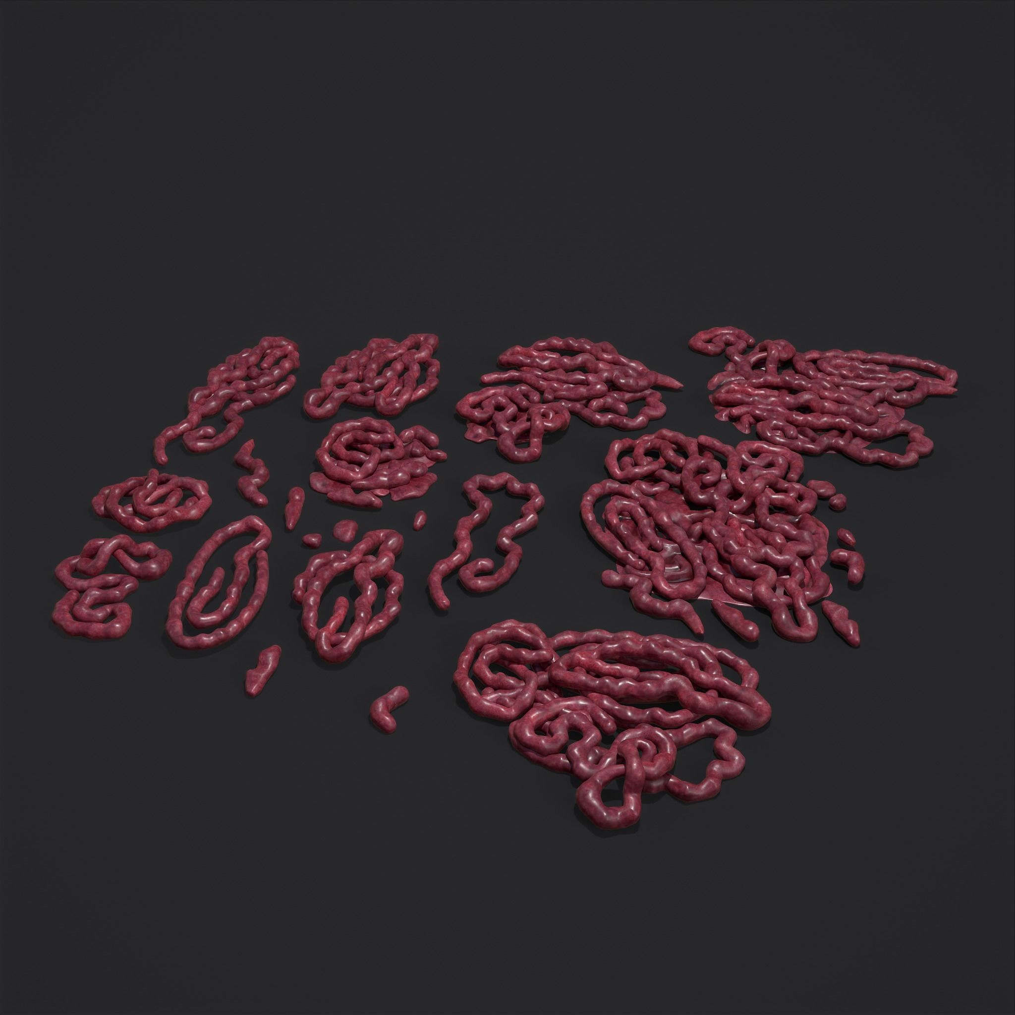 Intestines Piles Low-poly 3D model_31