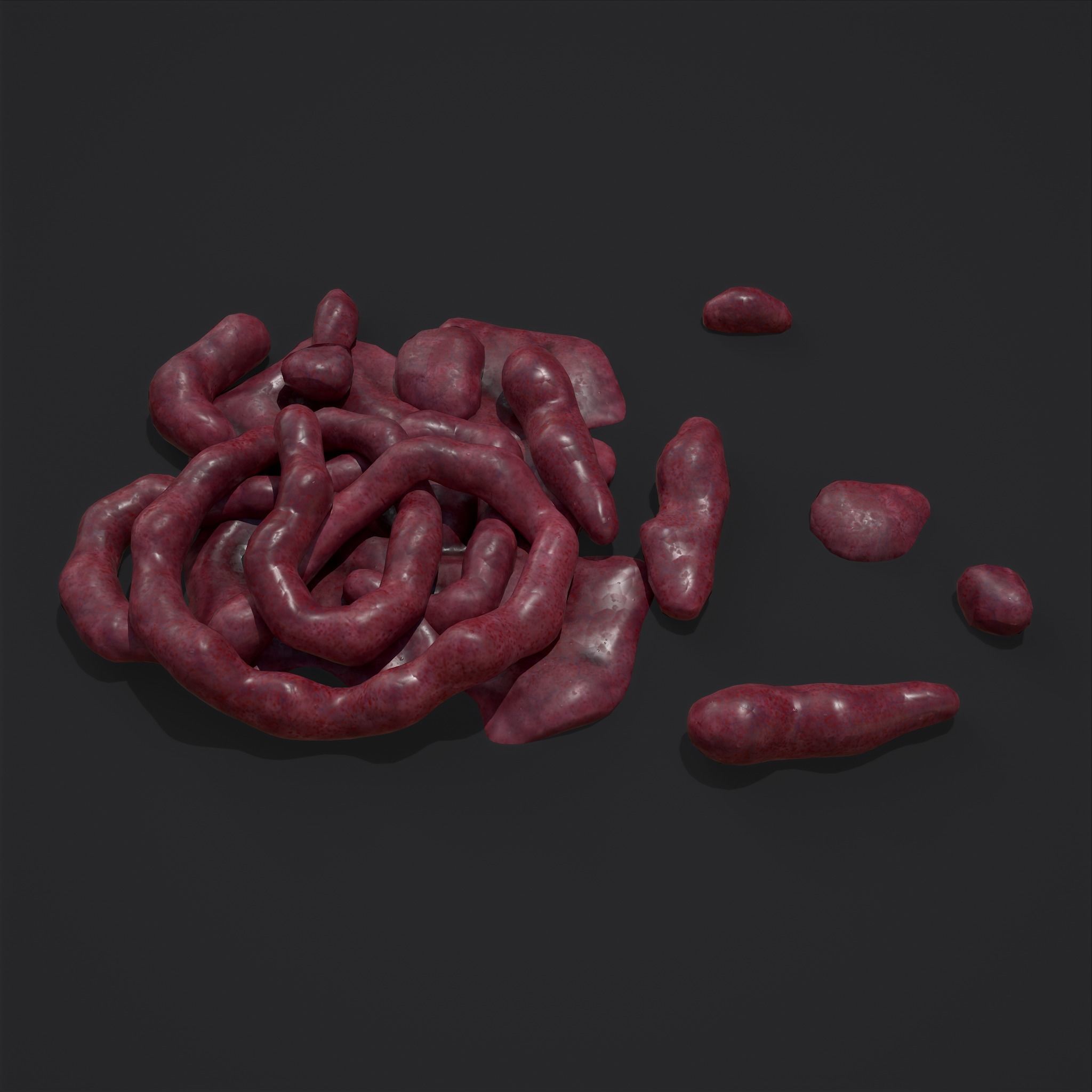 Intestines Piles Low-poly 3D model_7