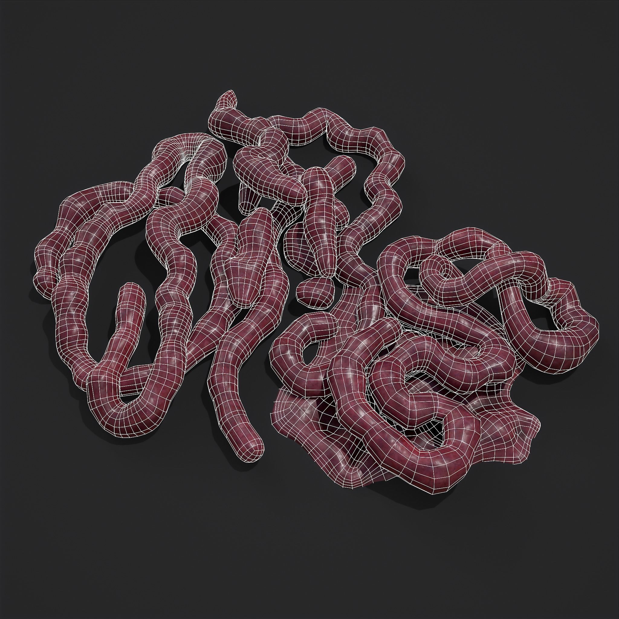 Intestines Piles Low-poly 3D model_10