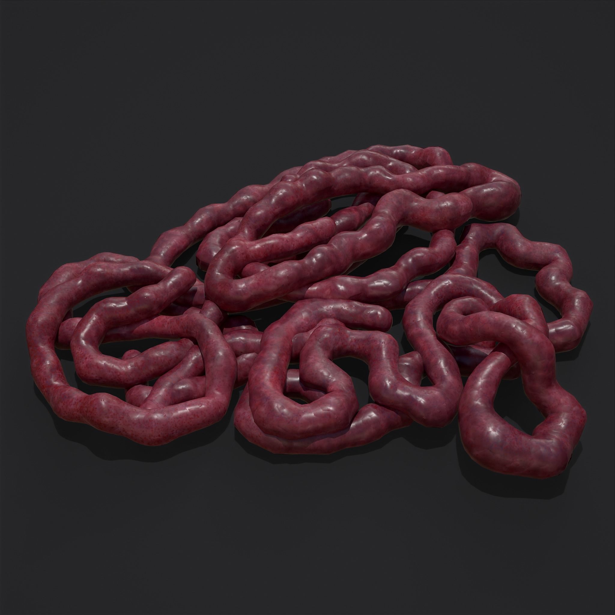 Intestines Piles Low-poly 3D model_17
