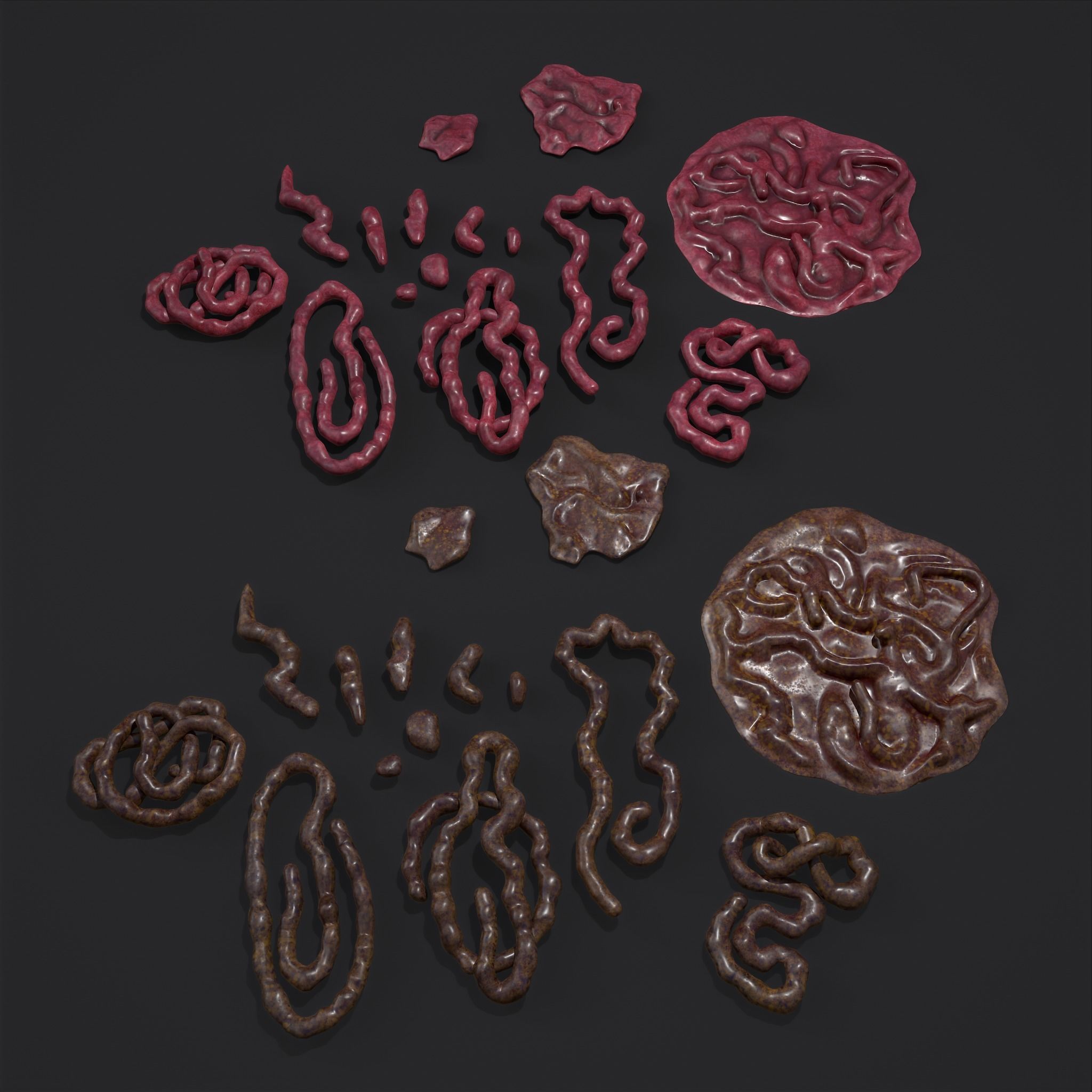 Intestines Piles Low-poly 3D model_38