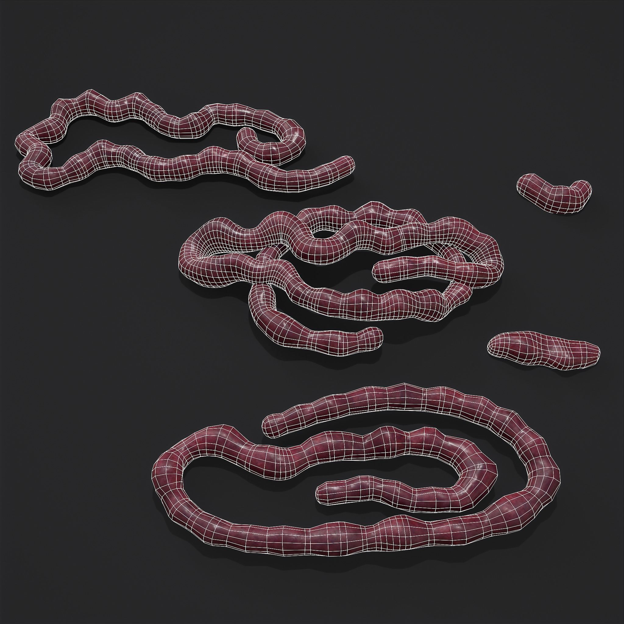 Intestines Piles Low-poly 3D model_12