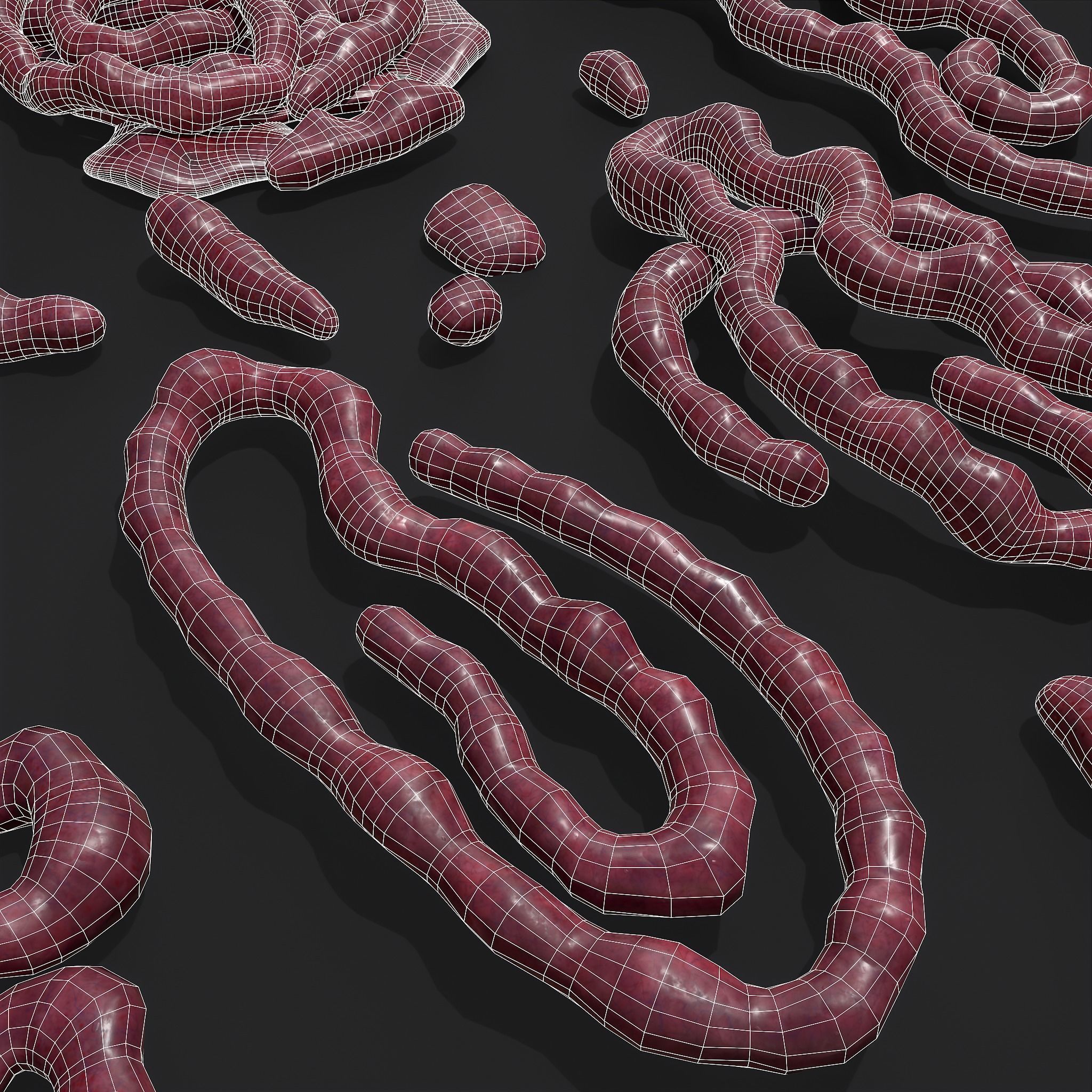 Intestines Piles Low-poly 3D model_22