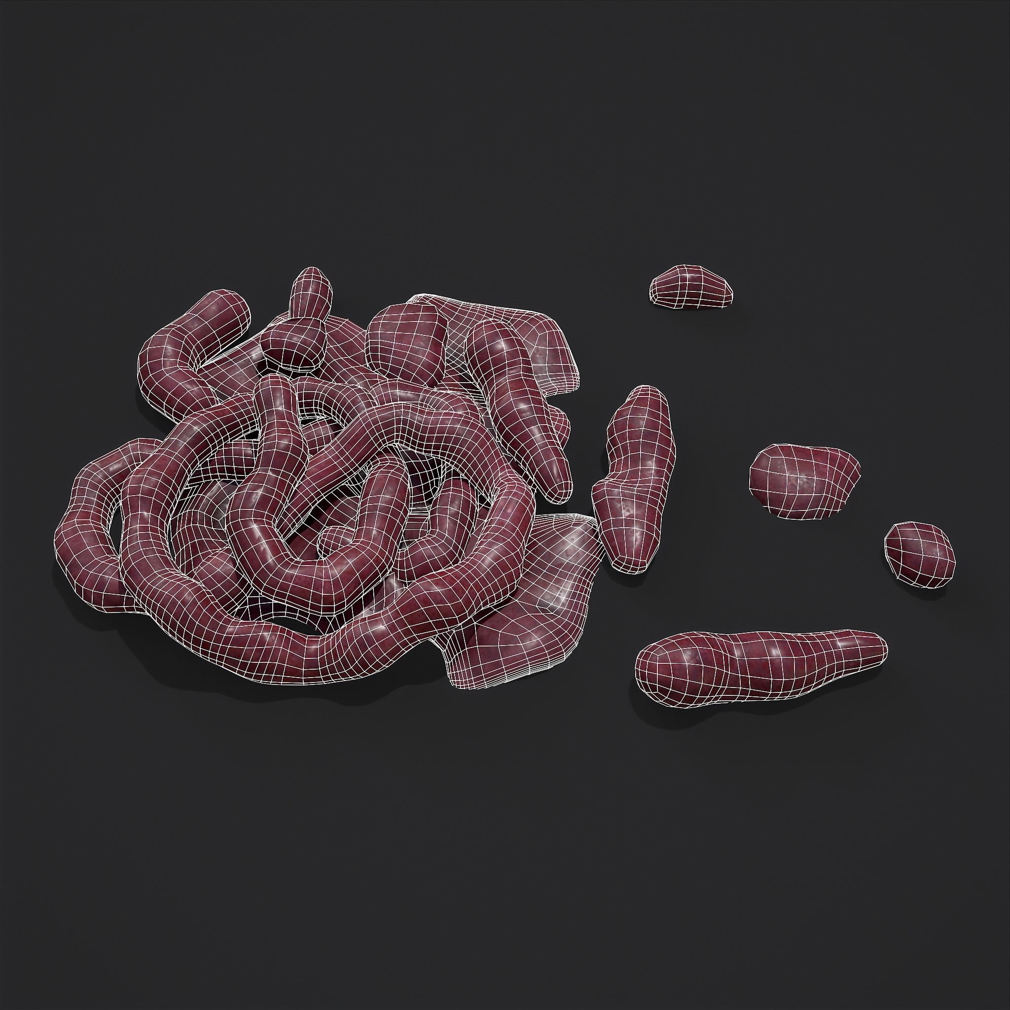 Intestines Piles Low-poly 3D model_8