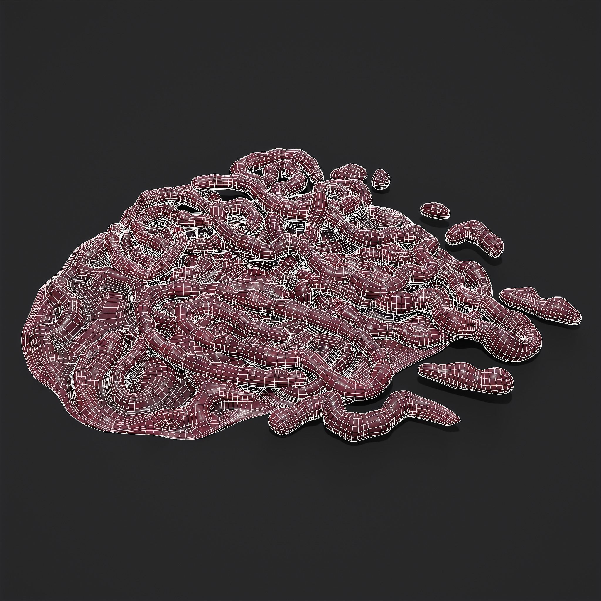 Intestines Piles Low-poly 3D model_16