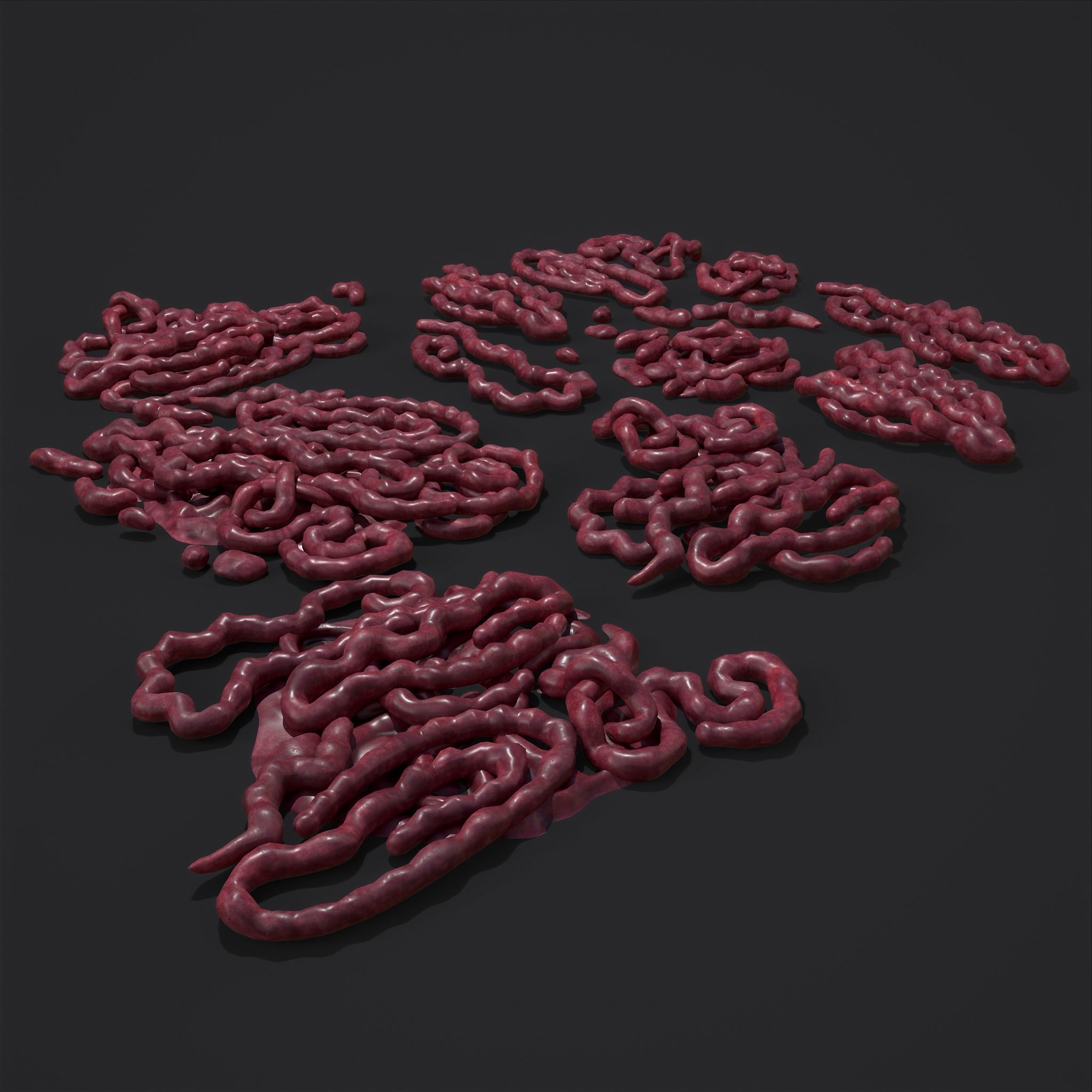 Intestines Piles Low-poly 3D model_30
