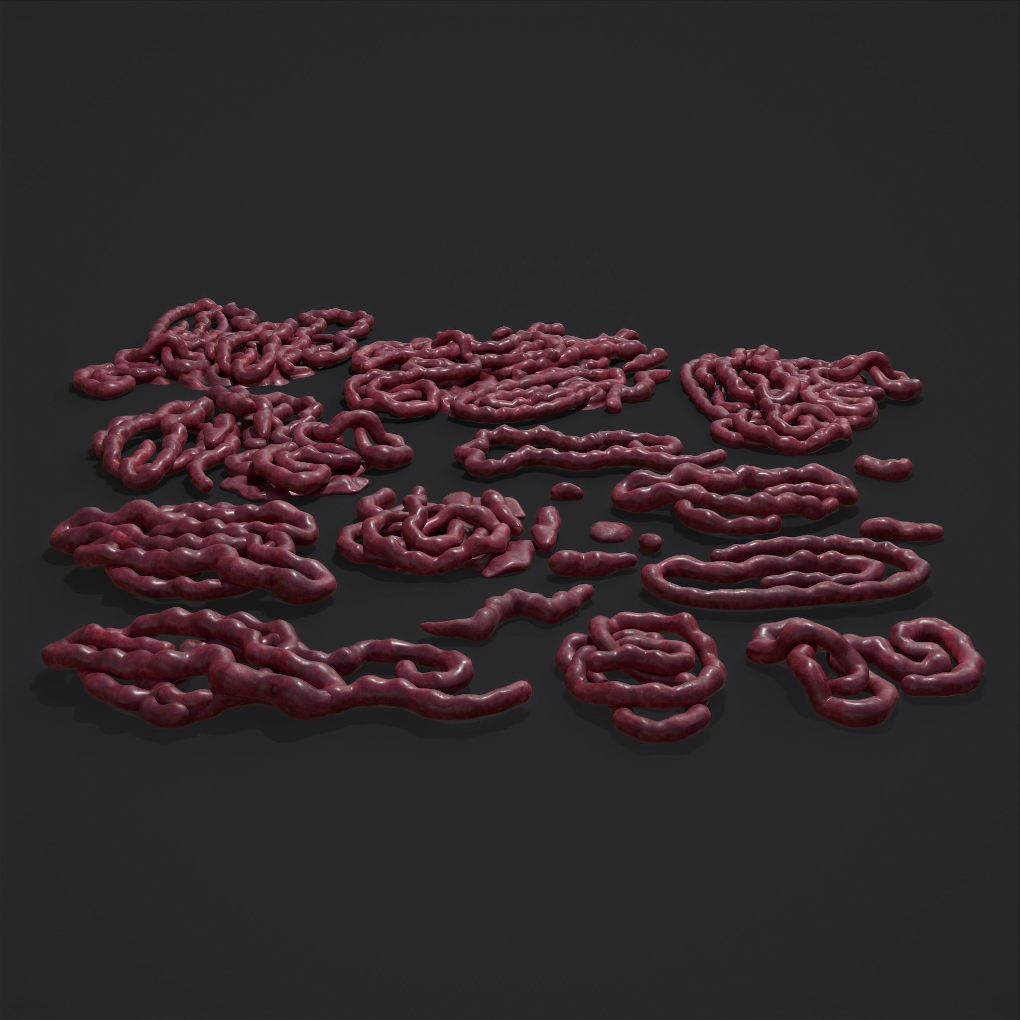 Intestines Piles Low-poly 3D model_29