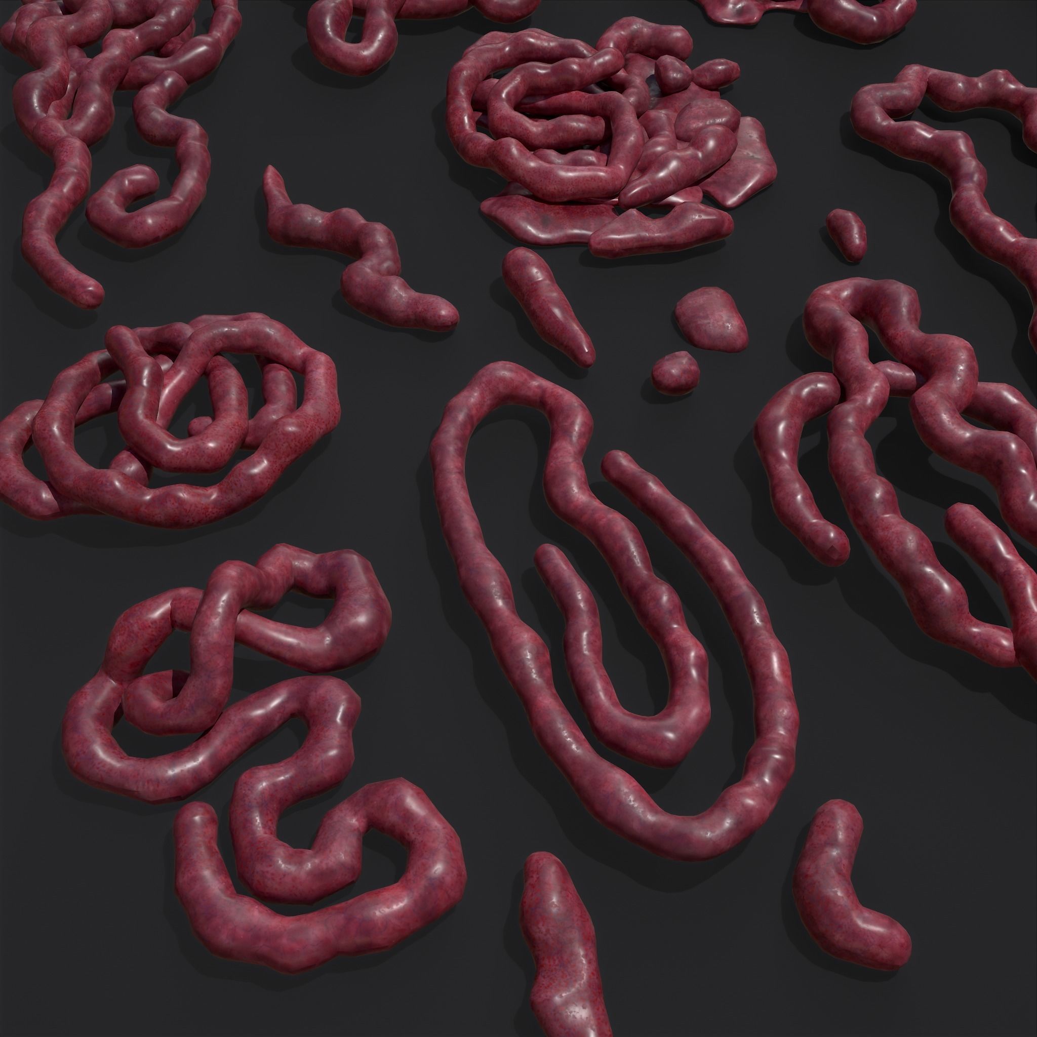 Intestines Piles Low-poly 3D model_34