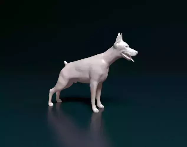 Doberman pinscher  3D print model