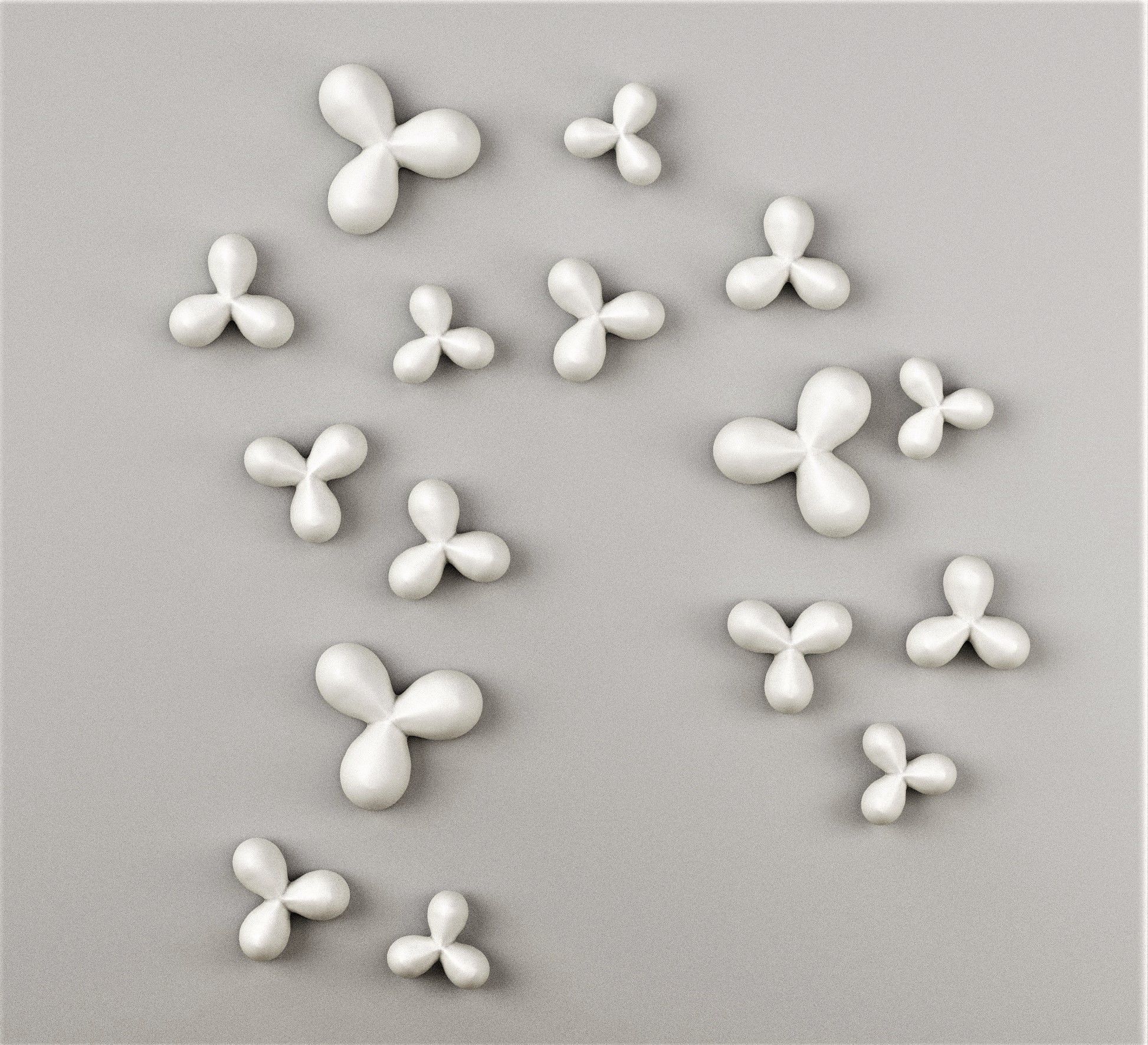 Frangipani Flora Collection 3D model_1