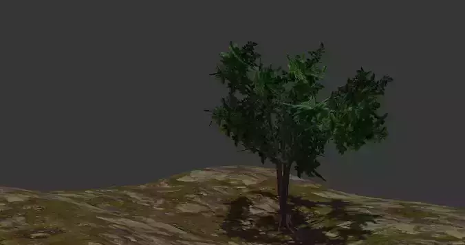 A common tree for your games or visualizations 3D model