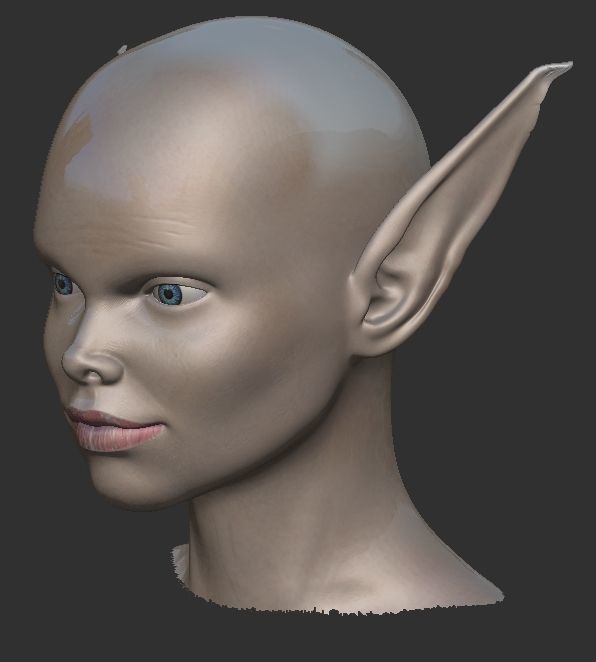 ELF girl 3D model_4