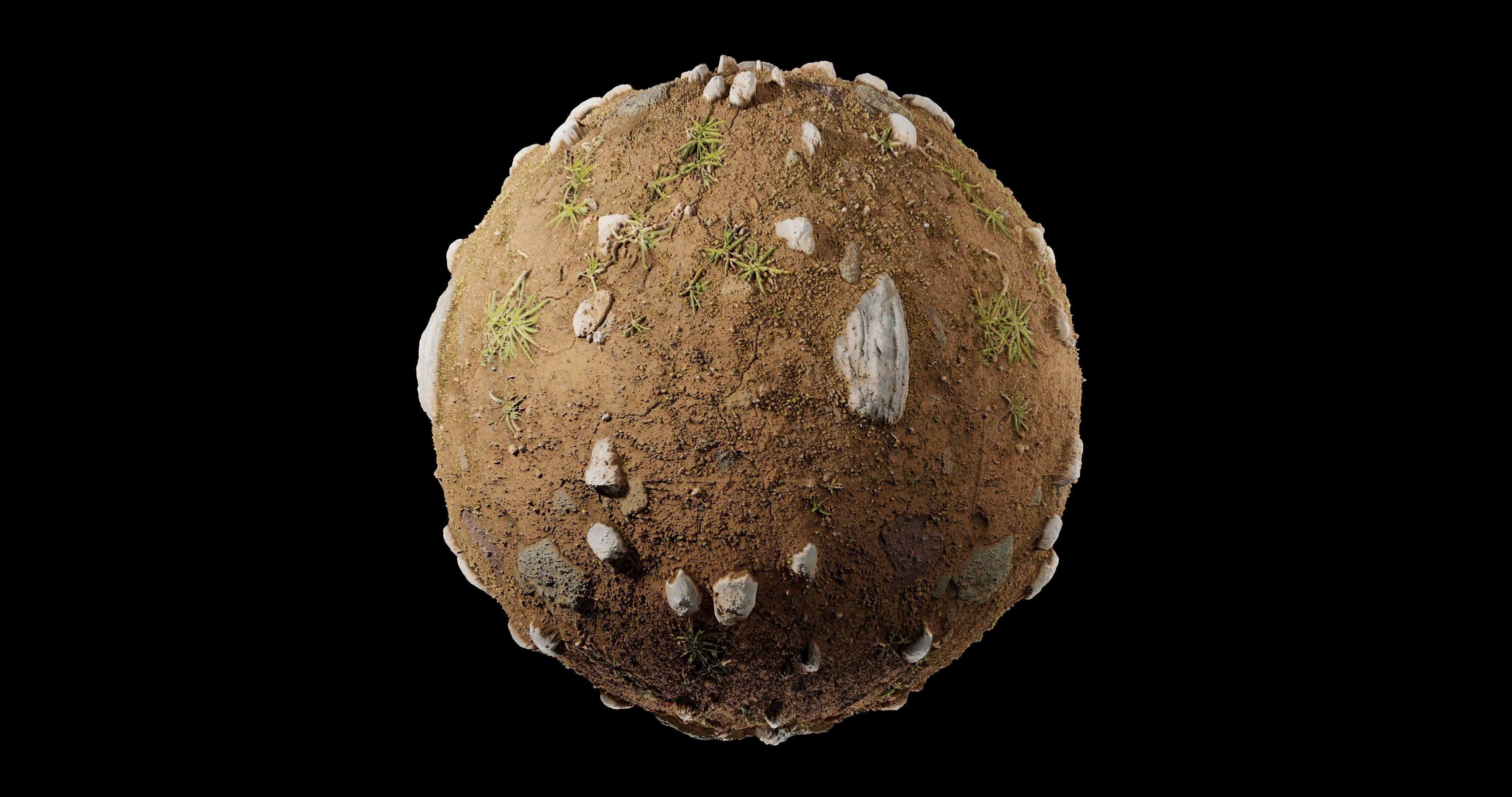 Dirt 10 Texture_2